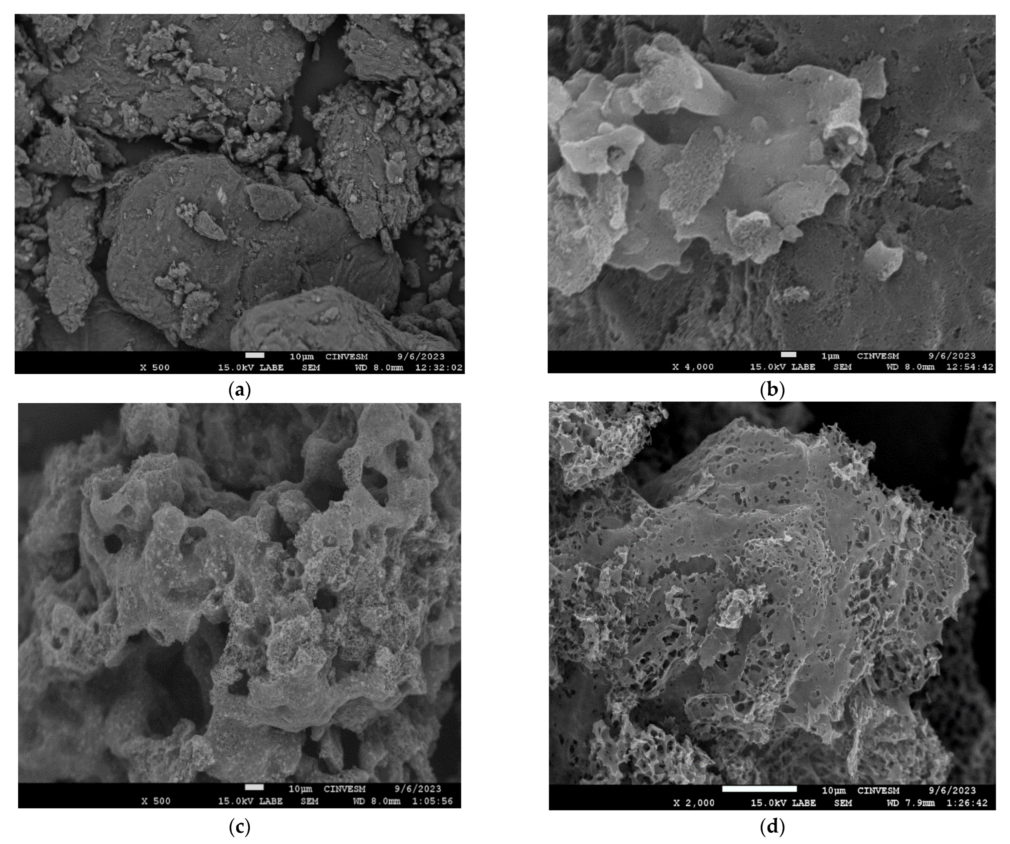 Chemistry 07 00144 g004