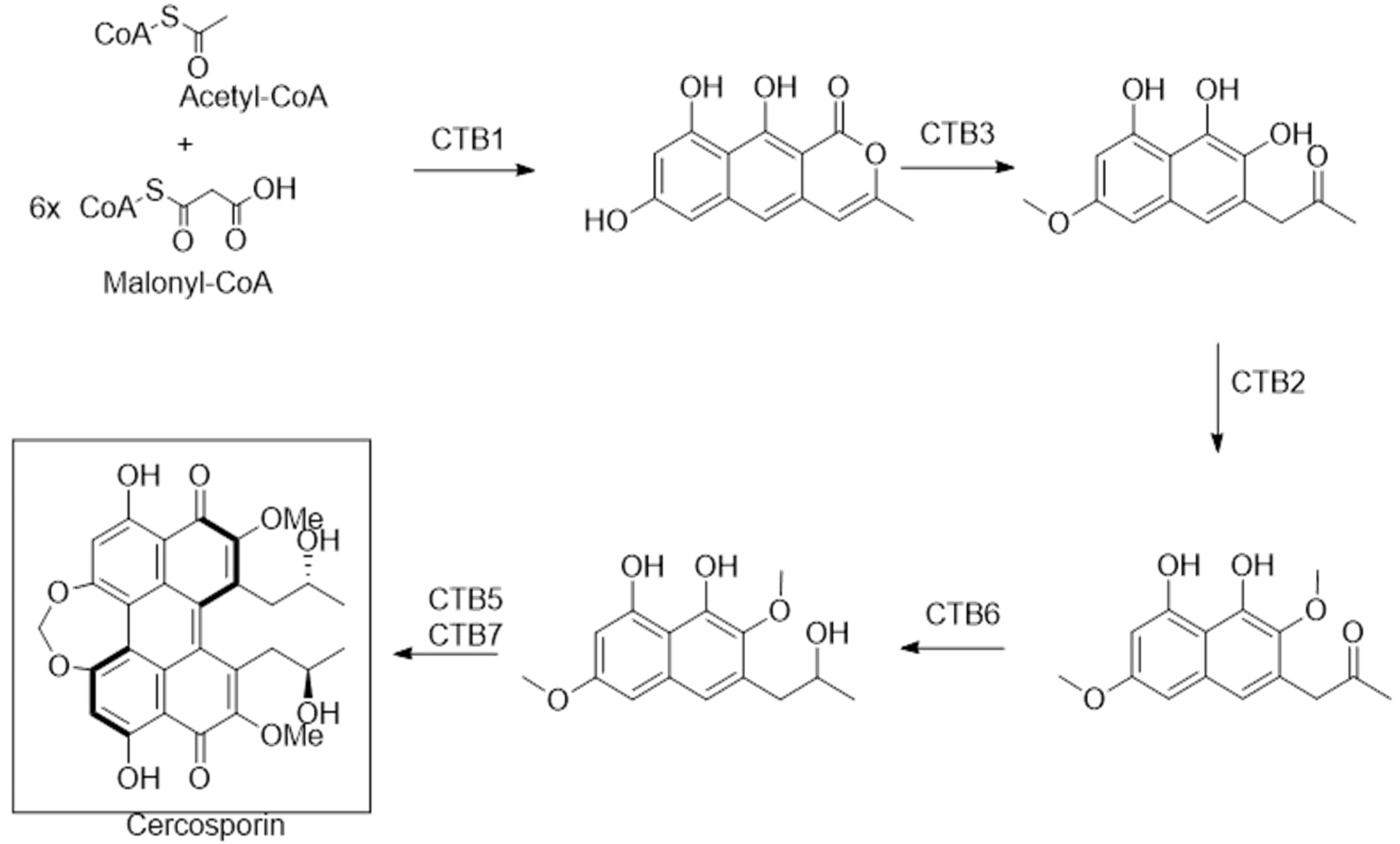 Chemistry 07 00148 g003