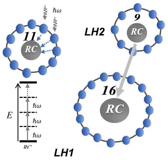 Chemistry 07 00164 g0a2
