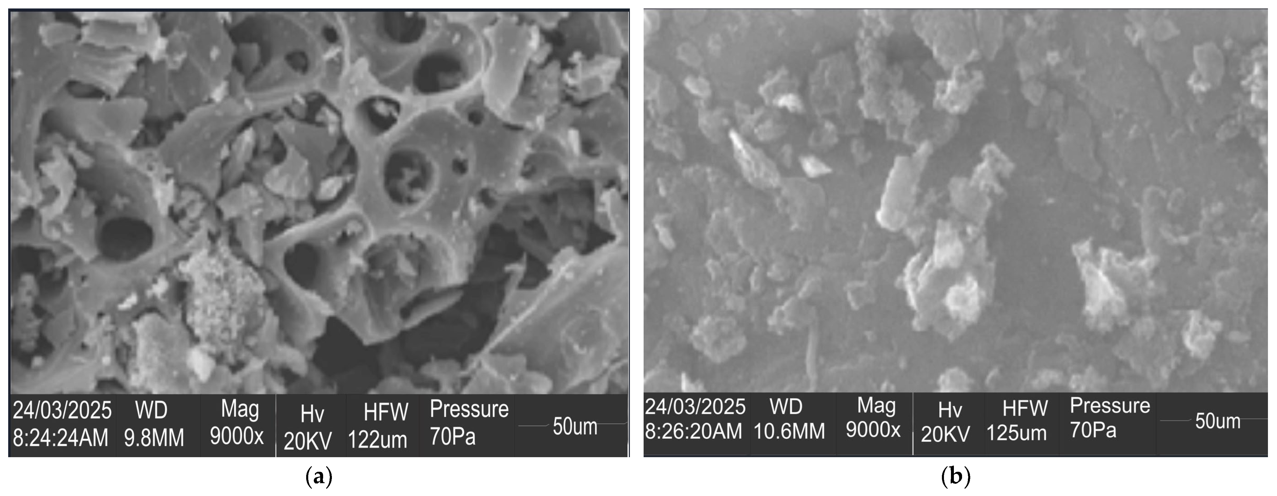 Chemistry 07 00199 g003