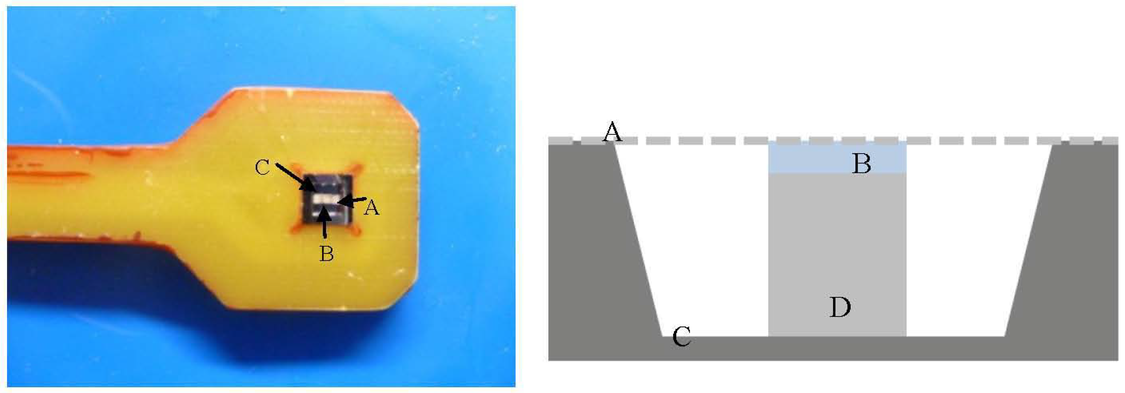 Chemosensors 01 00033 g002