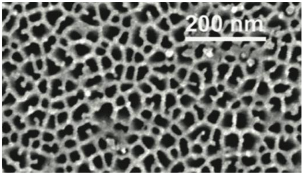 Chemosensors 02 00013 g001 1024