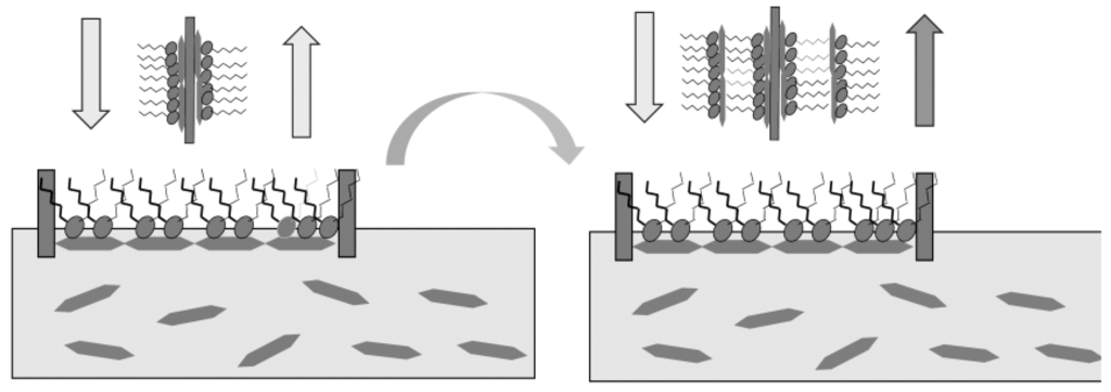 Chemosensors 02 00041 g008 1024