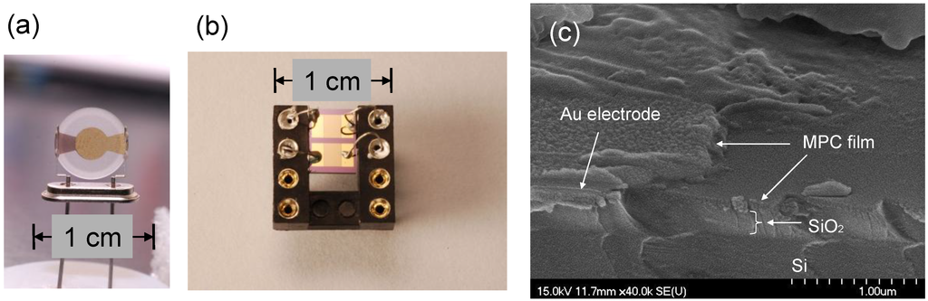 Chemosensors 02 00085 g002 1024