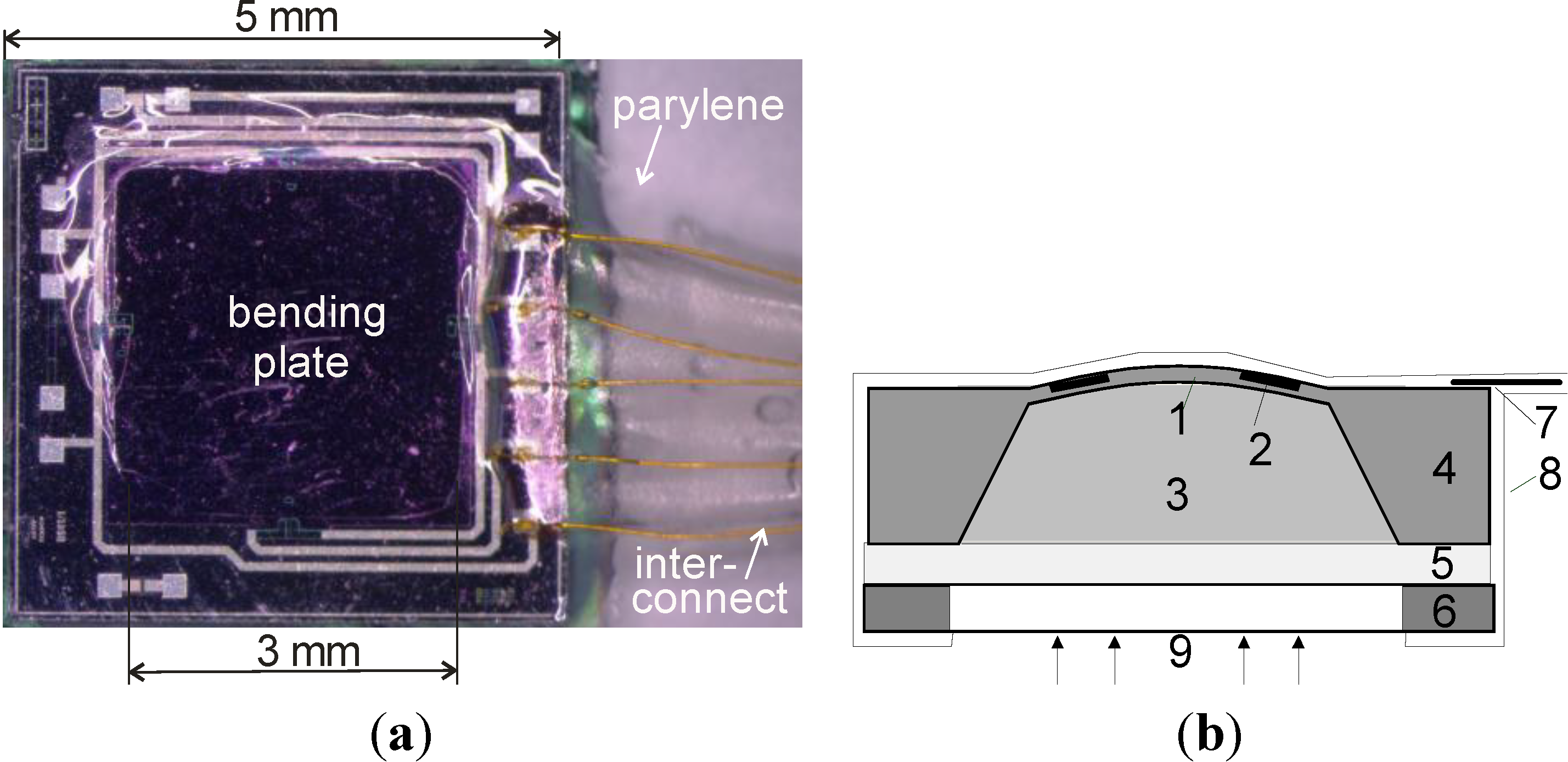 Chemosensors 02 00145 g001