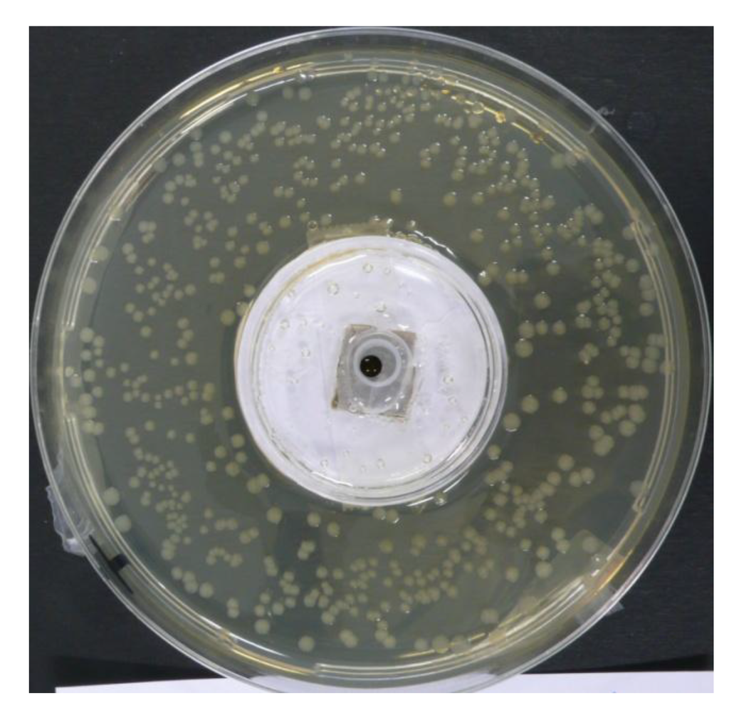 Chemosensors 02 00171 g003 1024