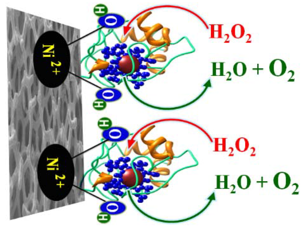 Chemosensors 02 00235 g010 1024