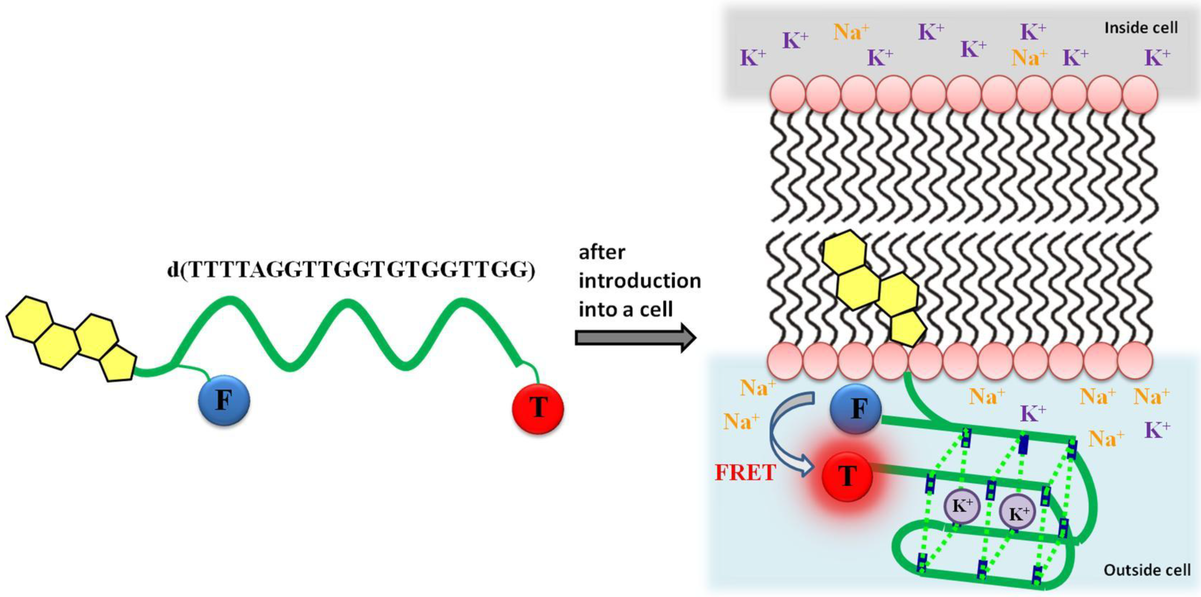 Chemosensors 02 00267 g009