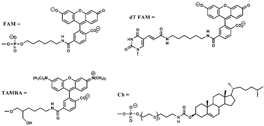 Chemosensors 02 00267 i001