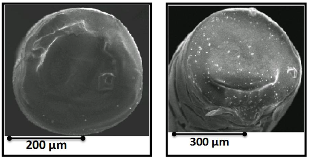 Chemosensors 03 00055 g003 1024