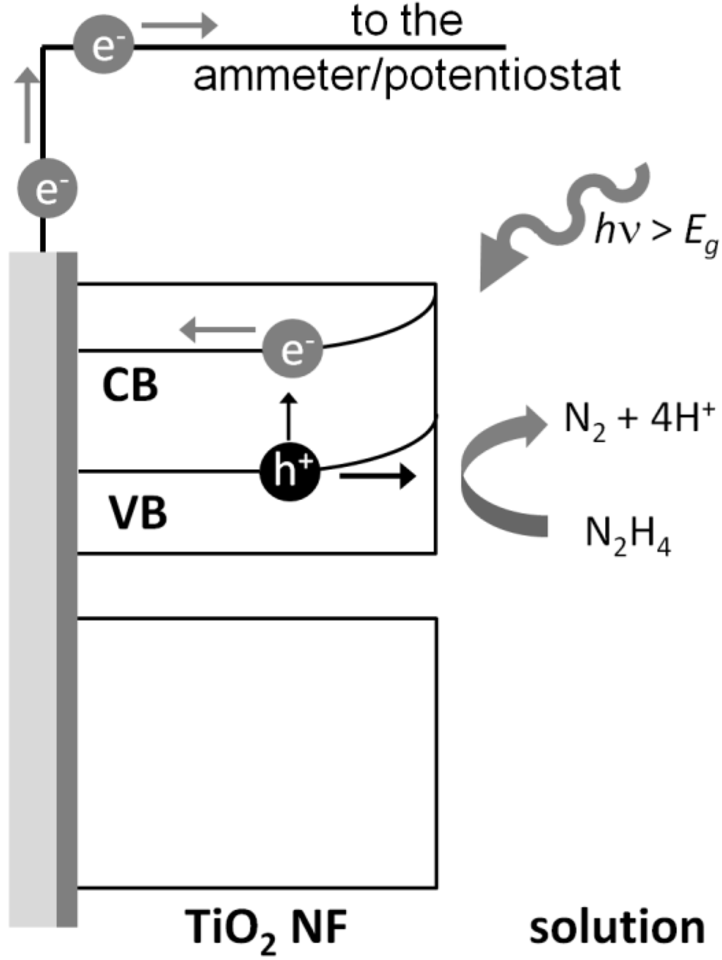 Chemosensors 03 00146 g001 1024
