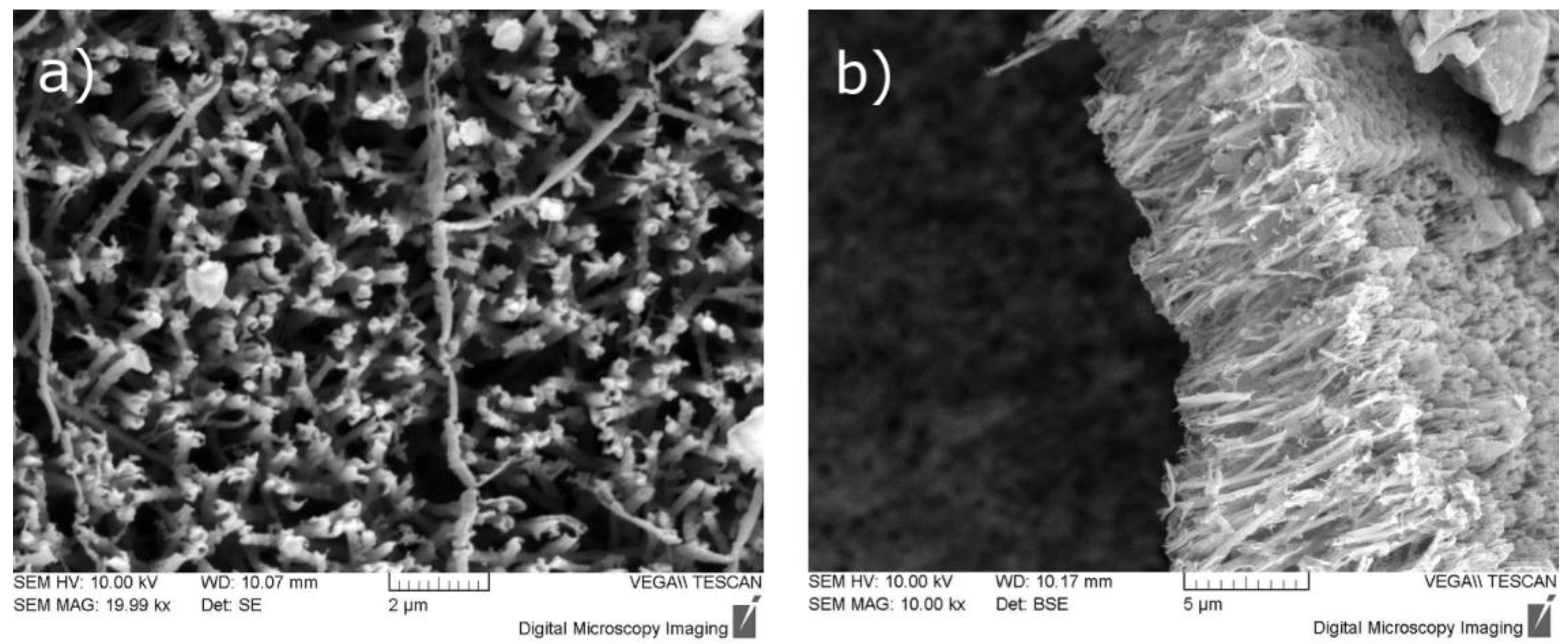 Chemosensors 03 00146 g002
