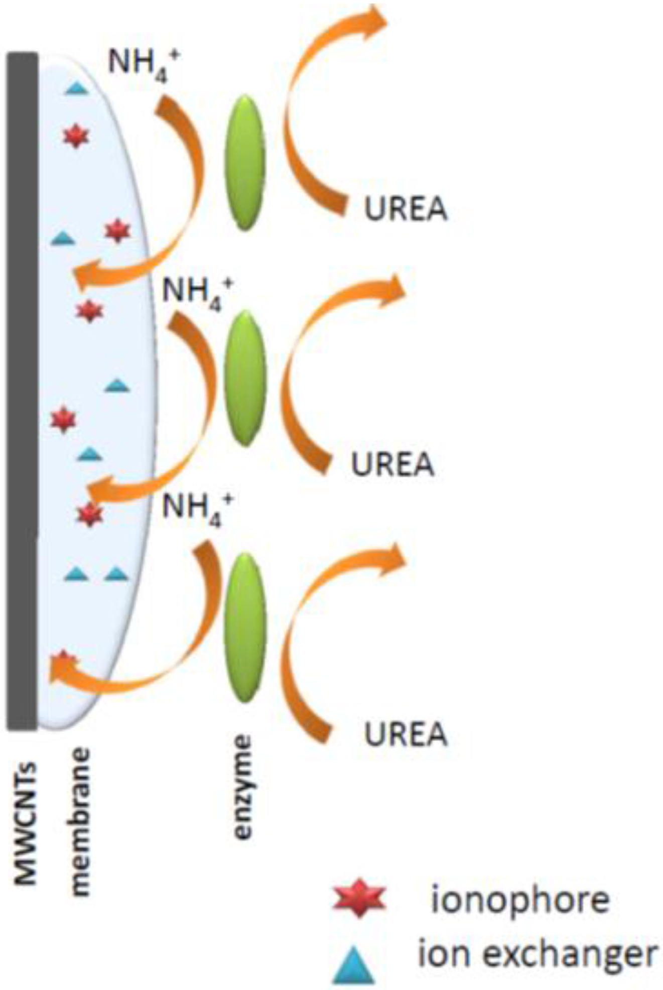 Chemosensors 03 00200 g006