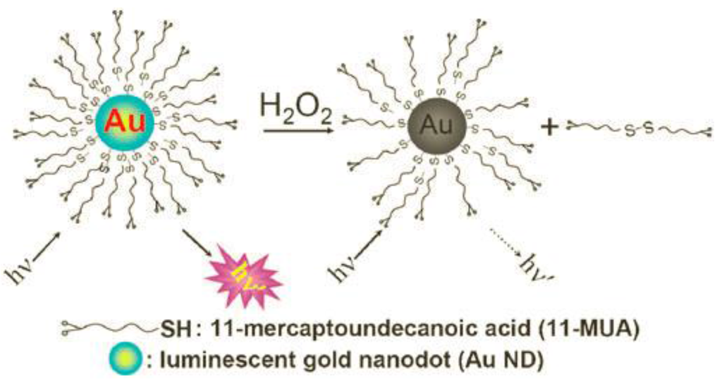 Chemosensors 03 00253 g001 1024