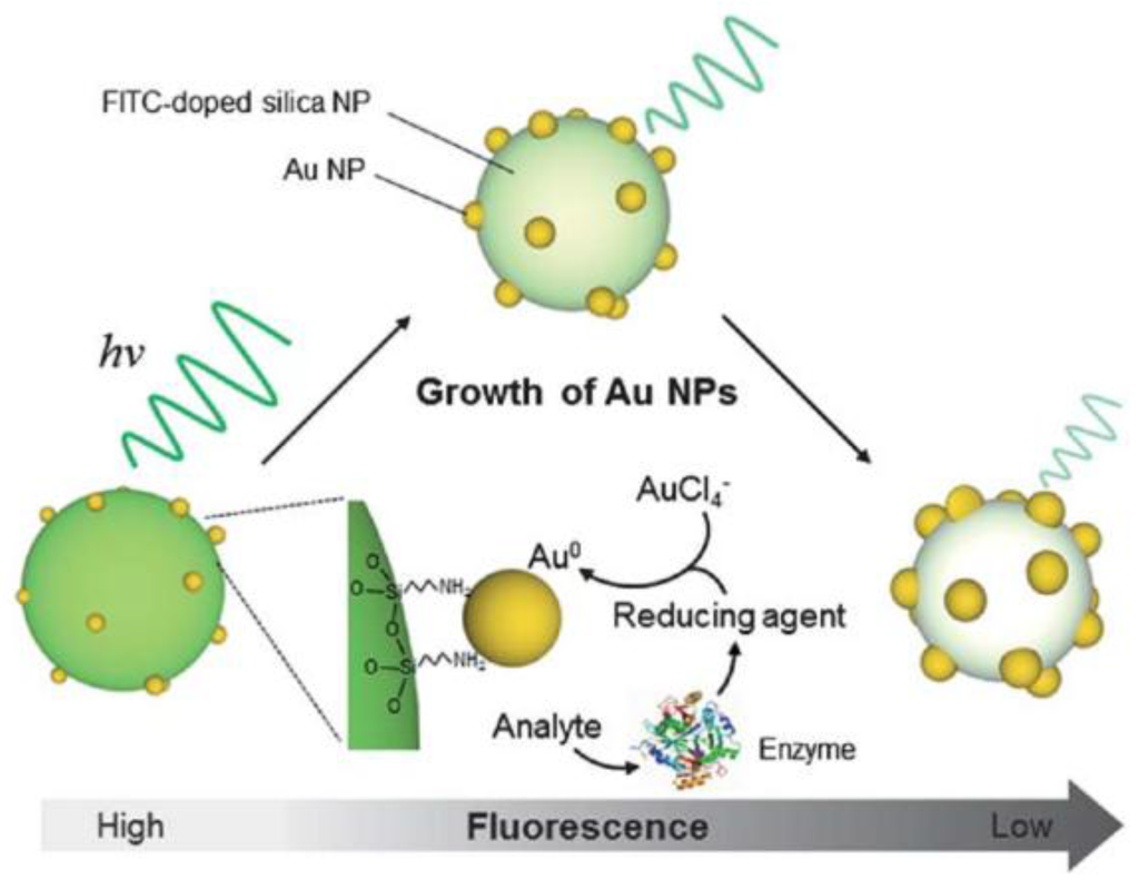 Chemosensors 03 00253 g002 1024