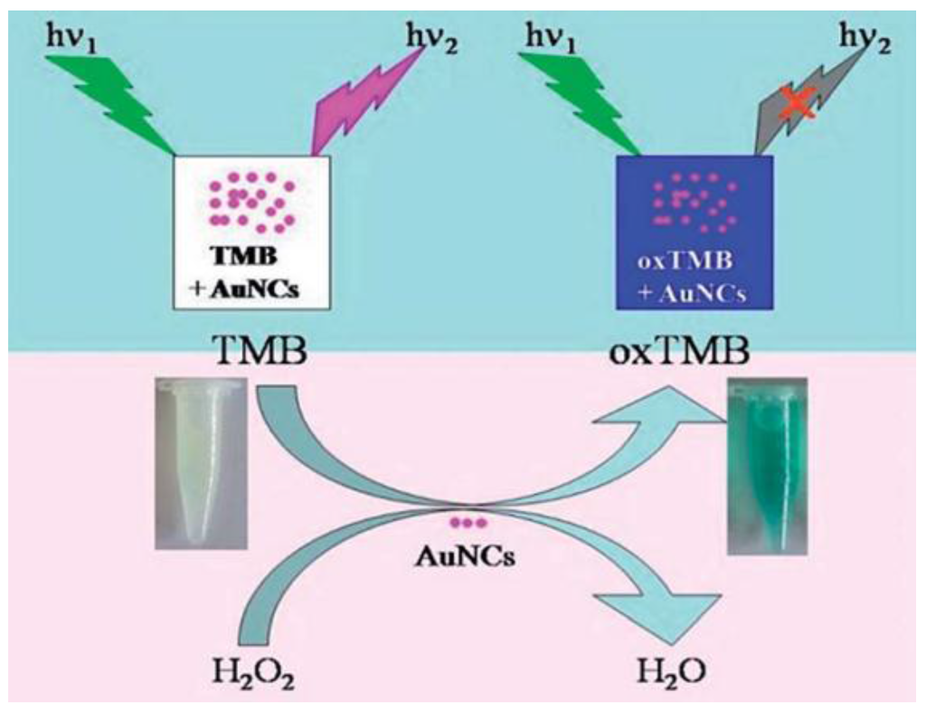 Chemosensors 03 00253 g003 1024