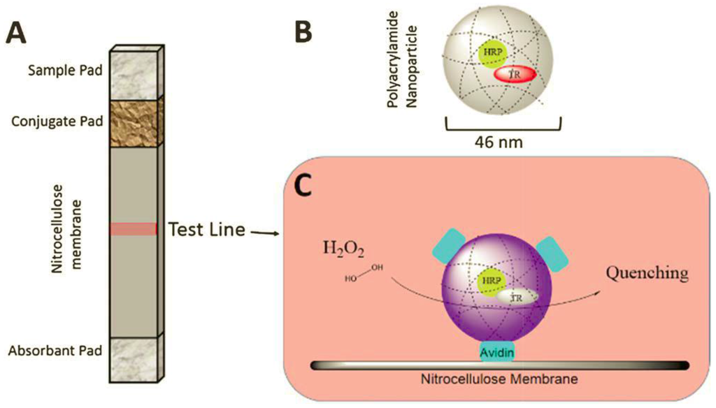 Chemosensors 03 00253 g004 1024