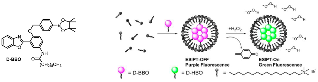 Chemosensors 03 00253 g005 1024