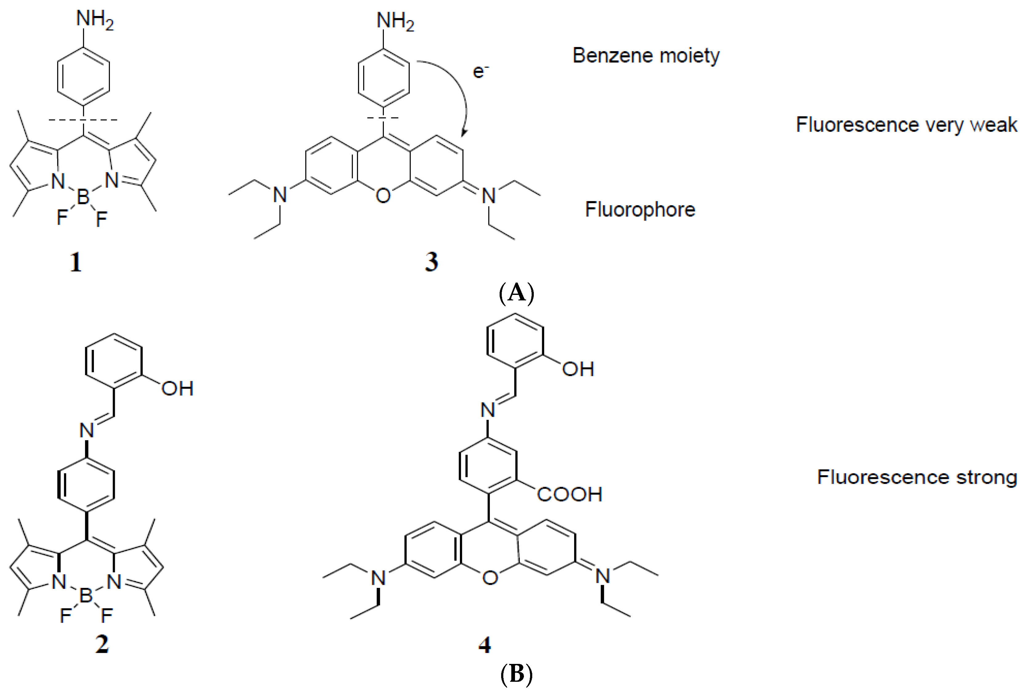 Chemosensors 04 00005 g001