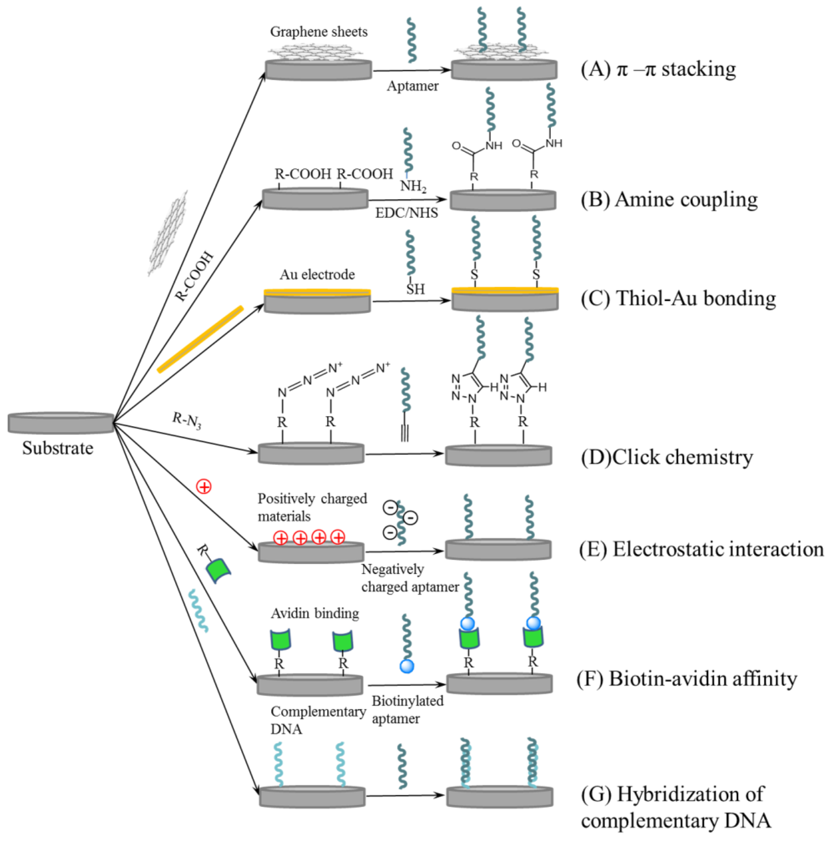 Chemosensors 04 00010 g002