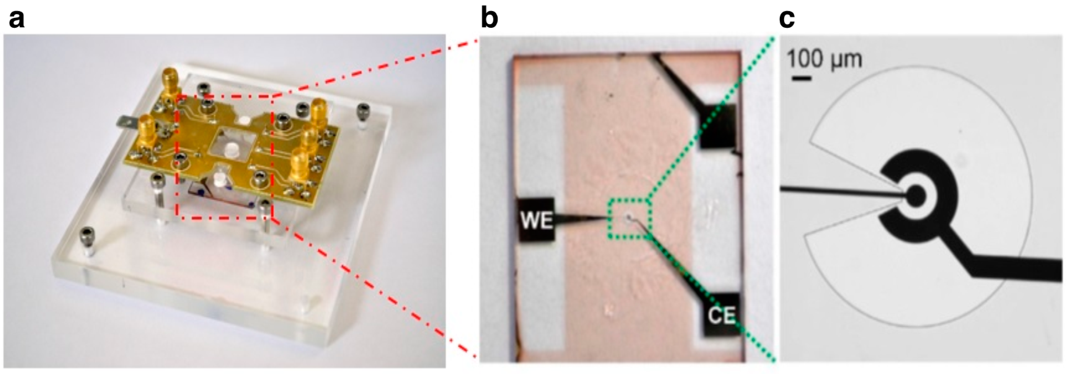 Chemosensors 04 00018 g002