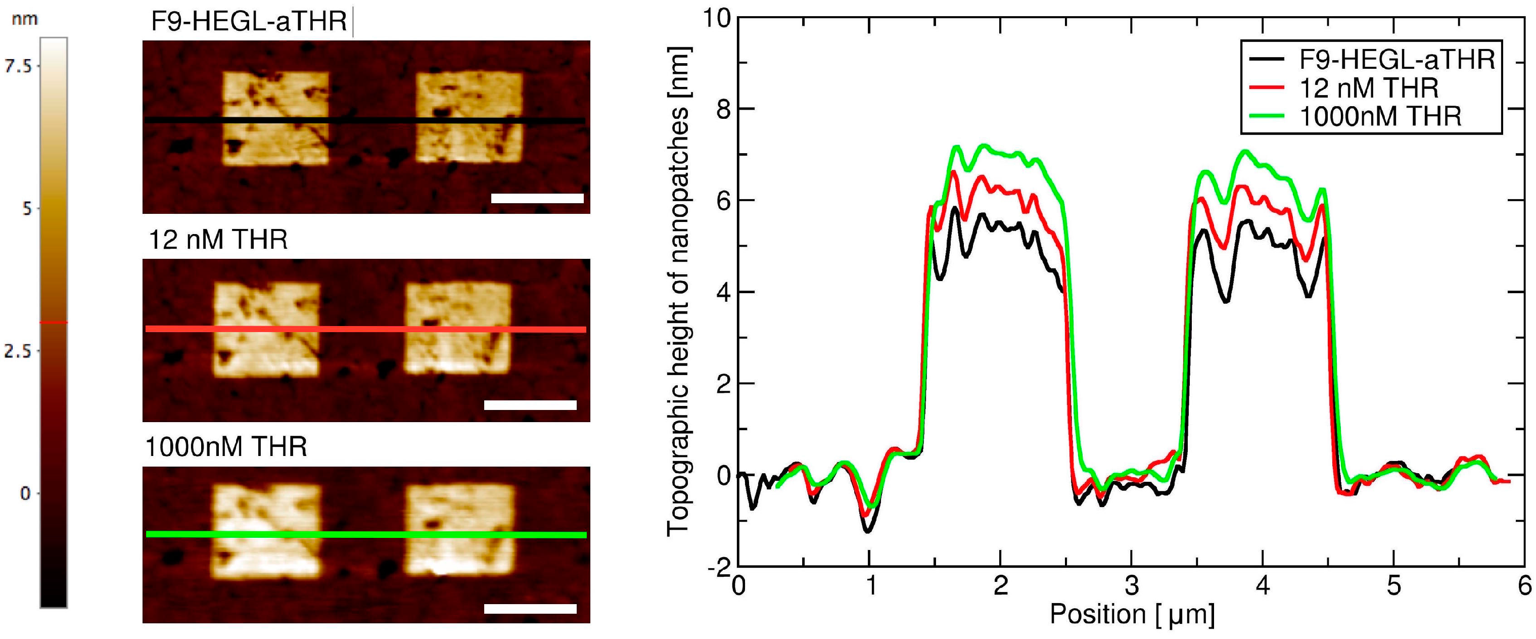 Chemosensors 04 00018 g004