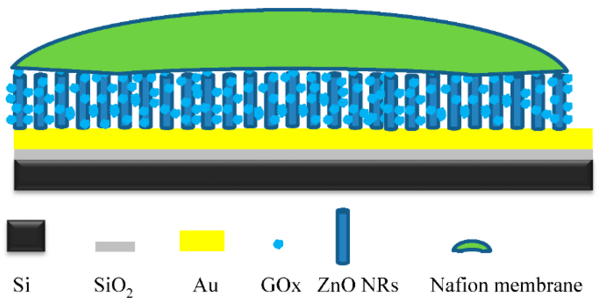 Chemosensors 05 00004 g001