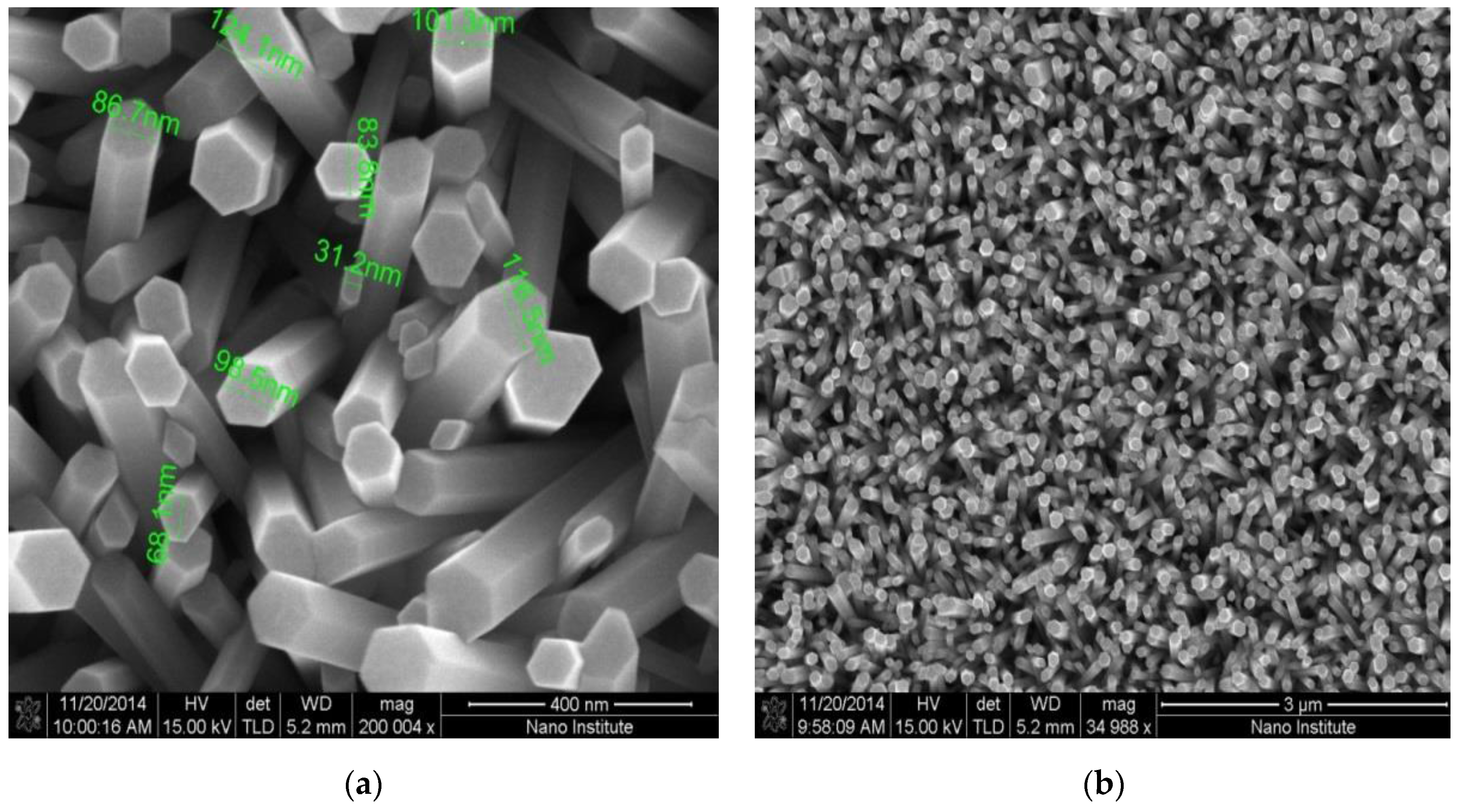 Chemosensors 05 00004 g002
