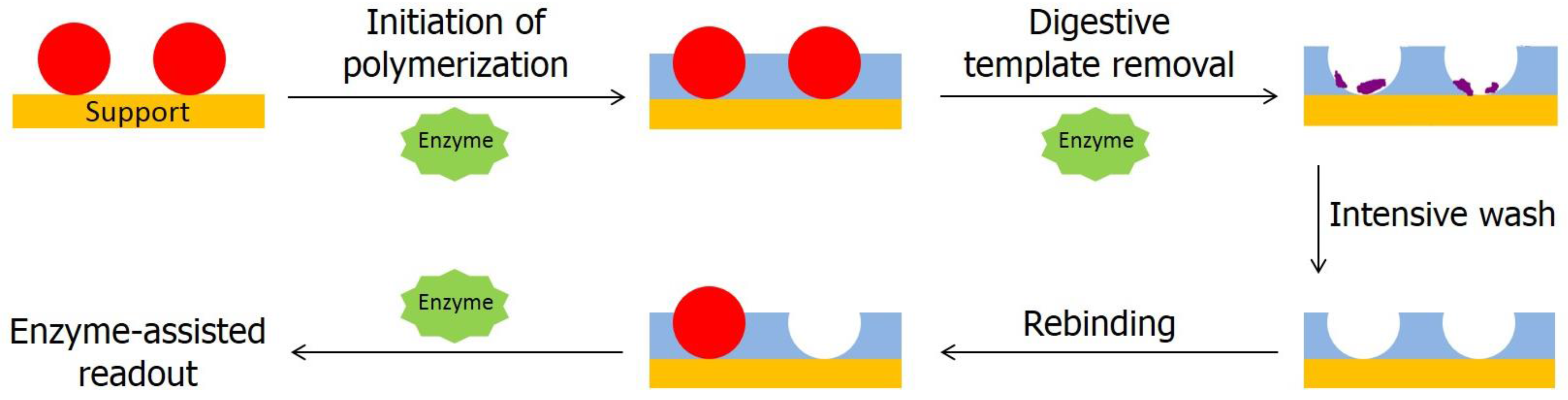 Chemosensors 05 00011 sch001