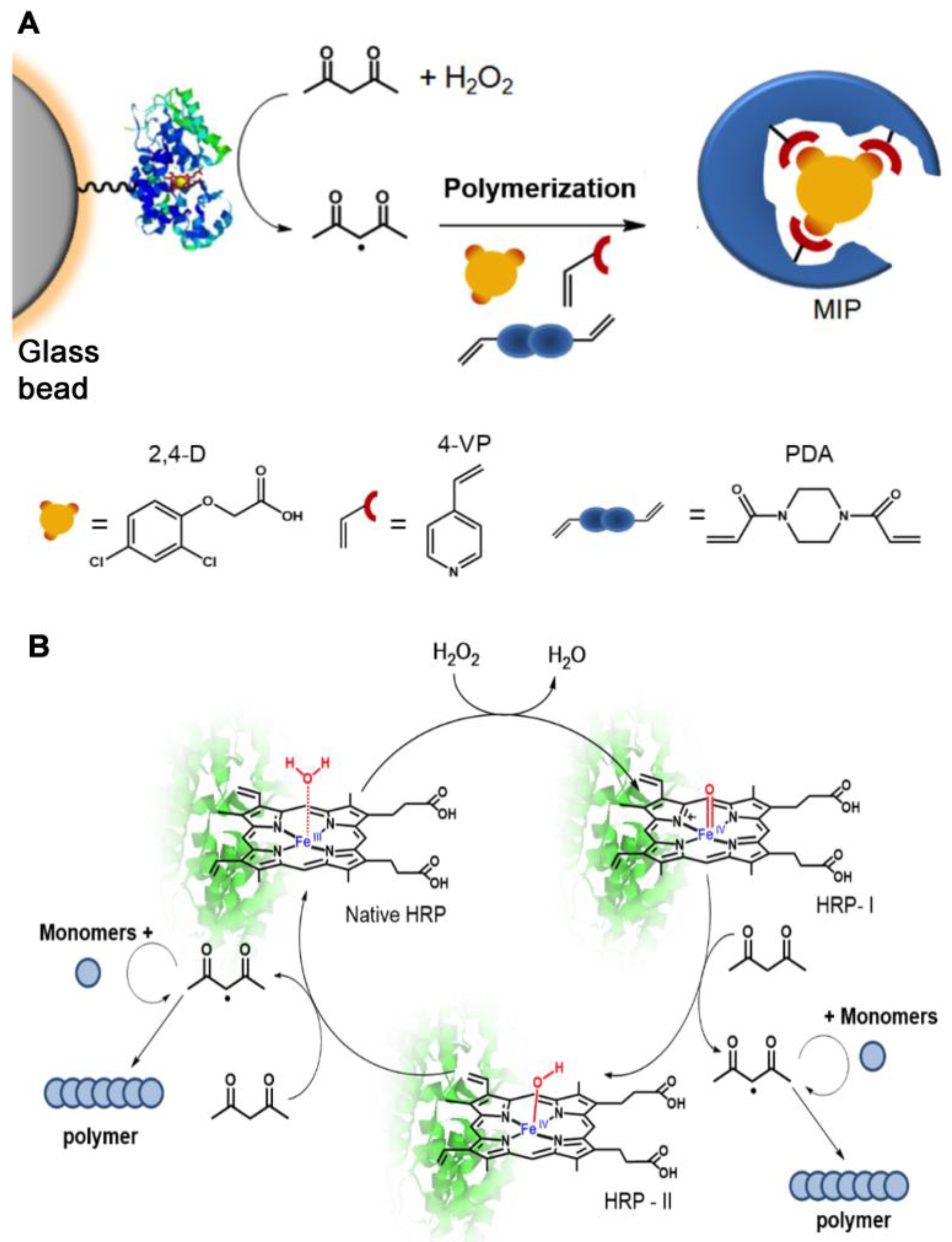 Chemosensors 05 00011 sch002