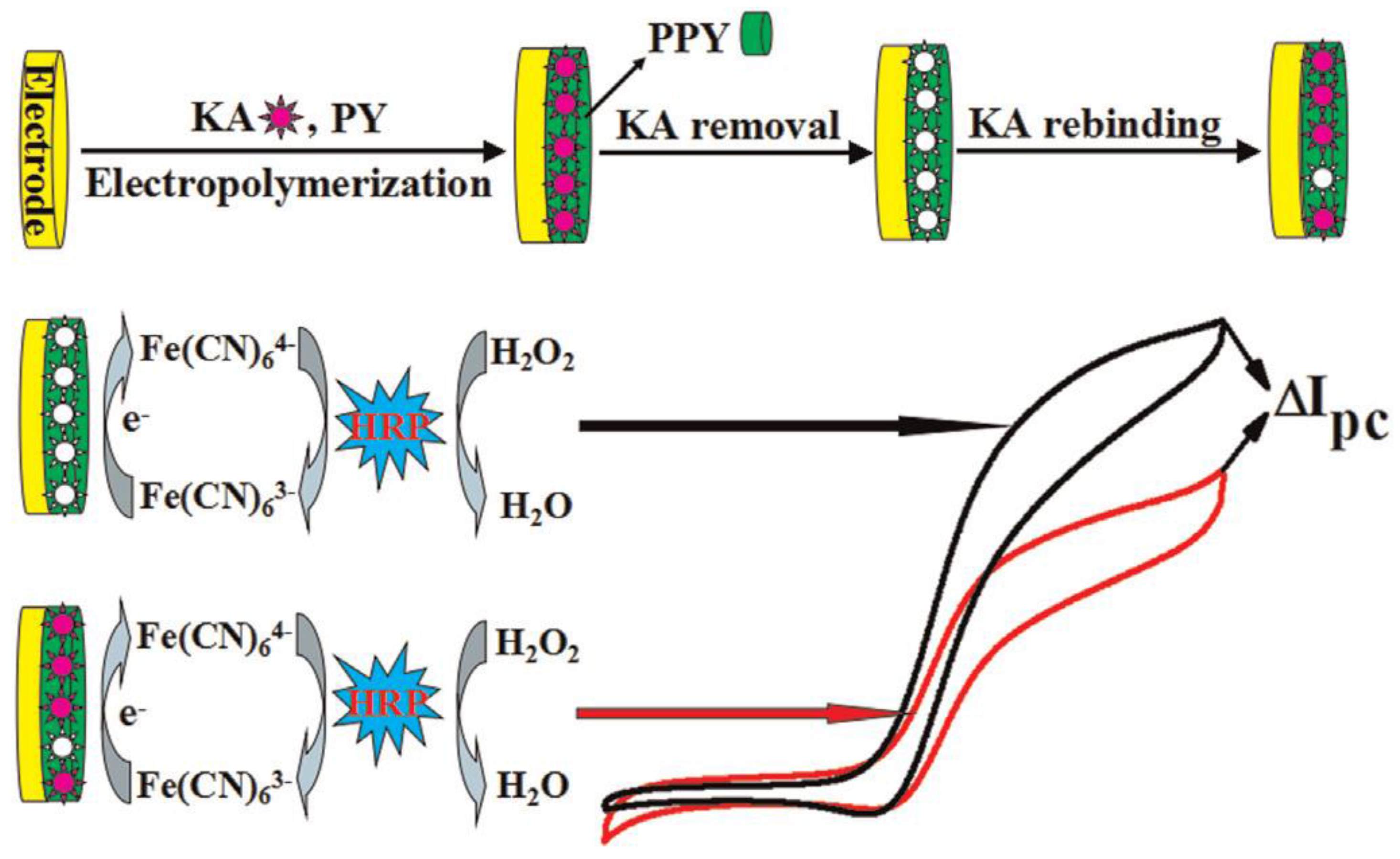 Chemosensors 05 00011 sch004