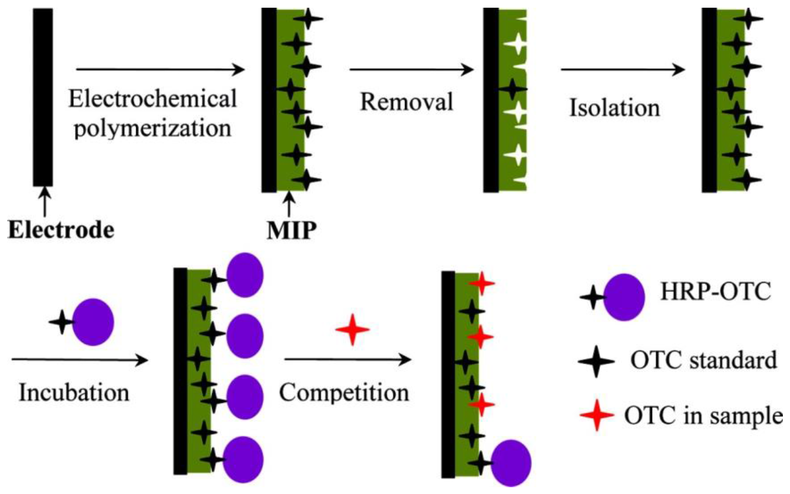 Chemosensors 05 00011 sch005