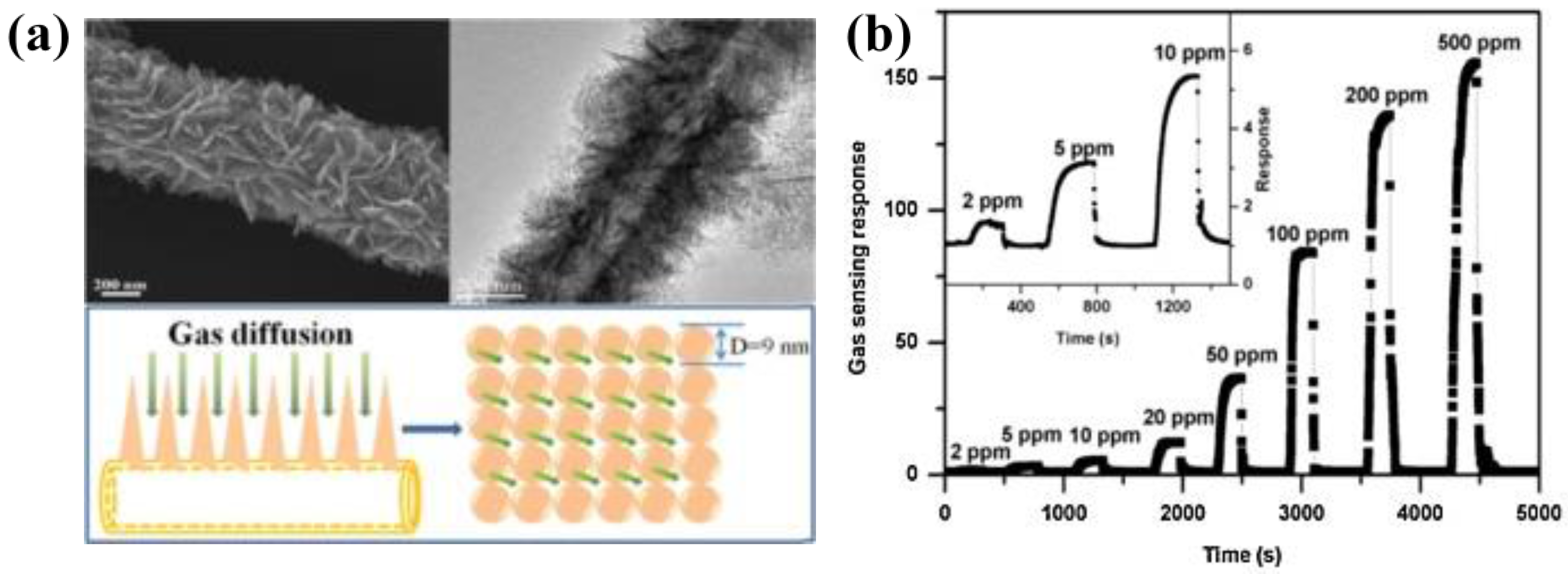 Chemosensors 05 00017 g005