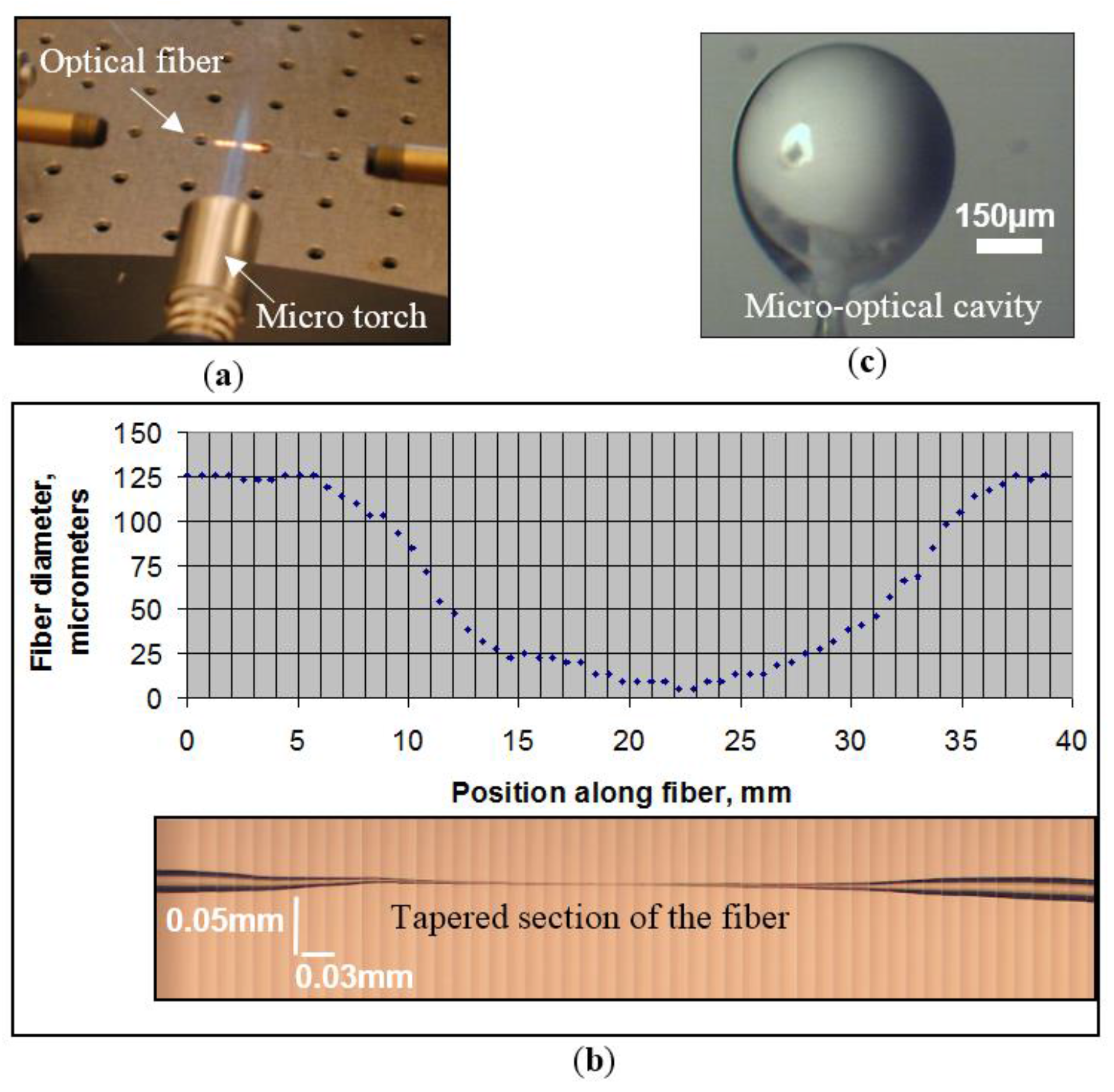 Chemosensors 05 00019 g001
