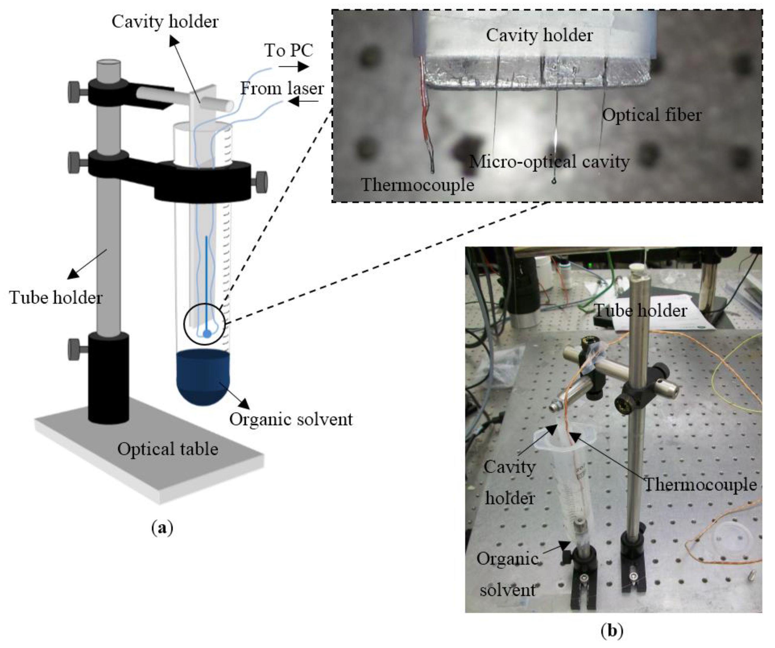 Chemosensors 05 00019 g006
