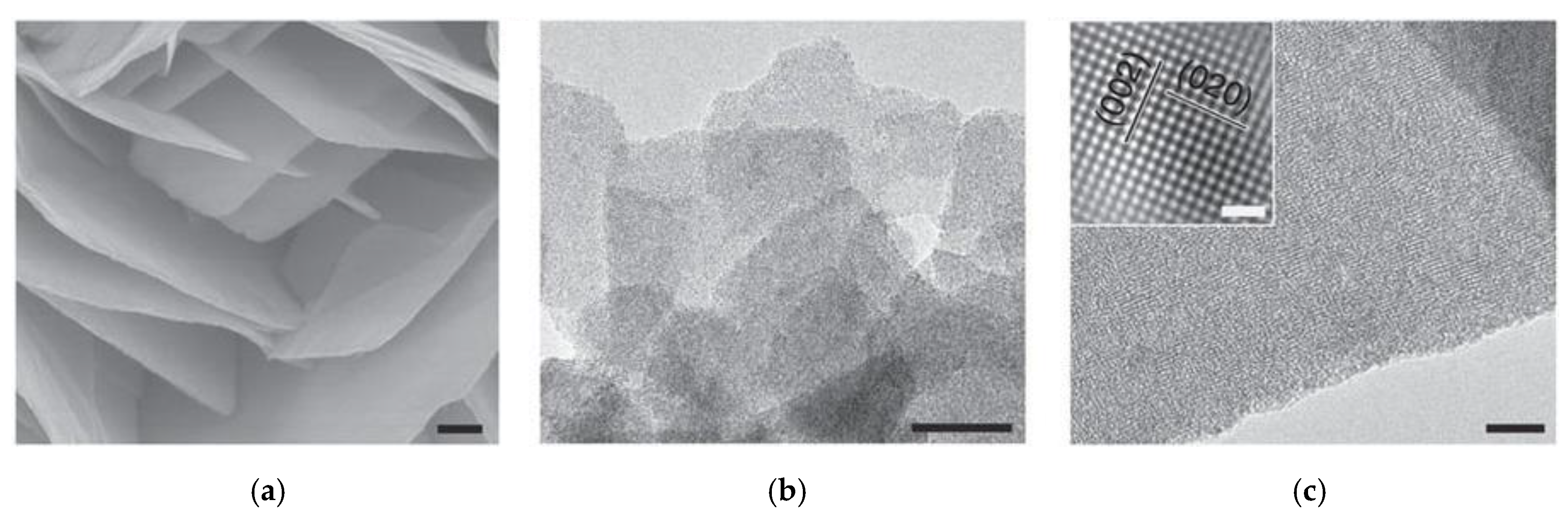 Chemosensors 05 00021 g009