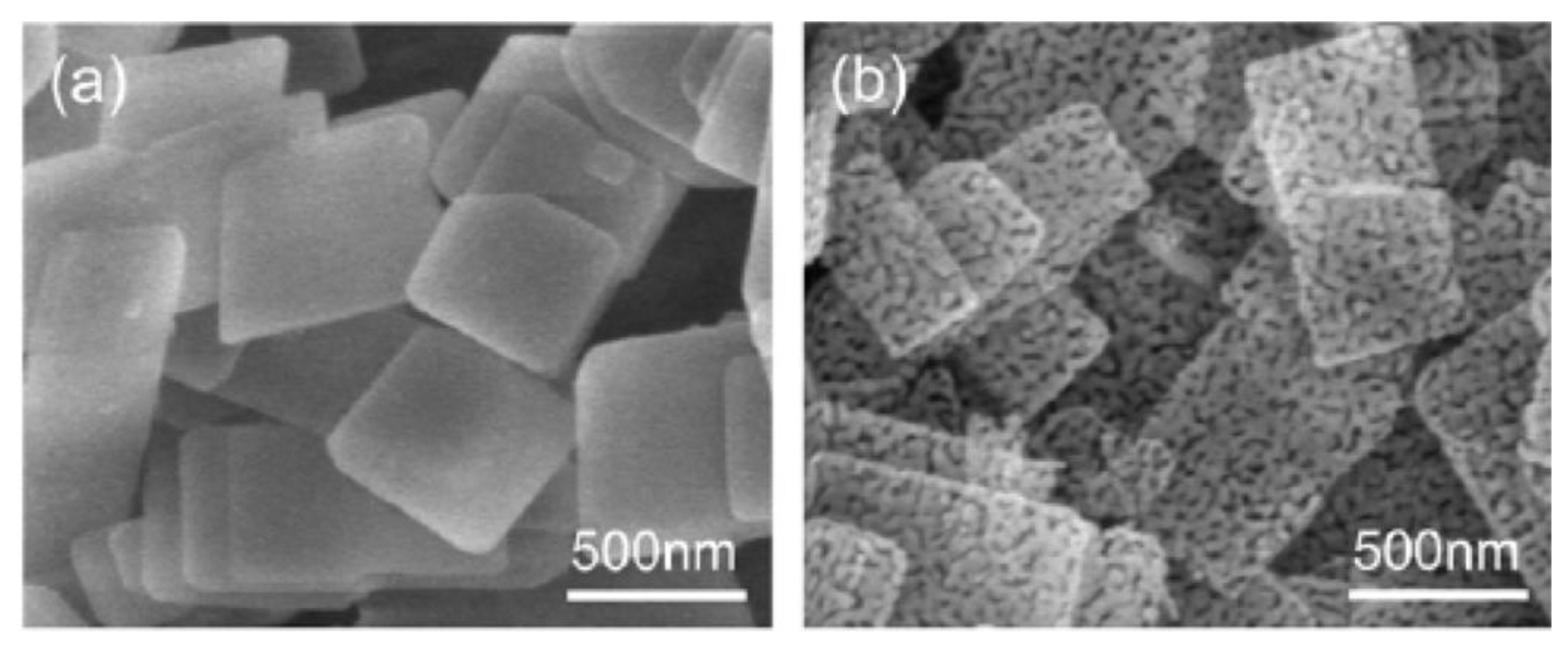 Chemosensors 05 00021 g010