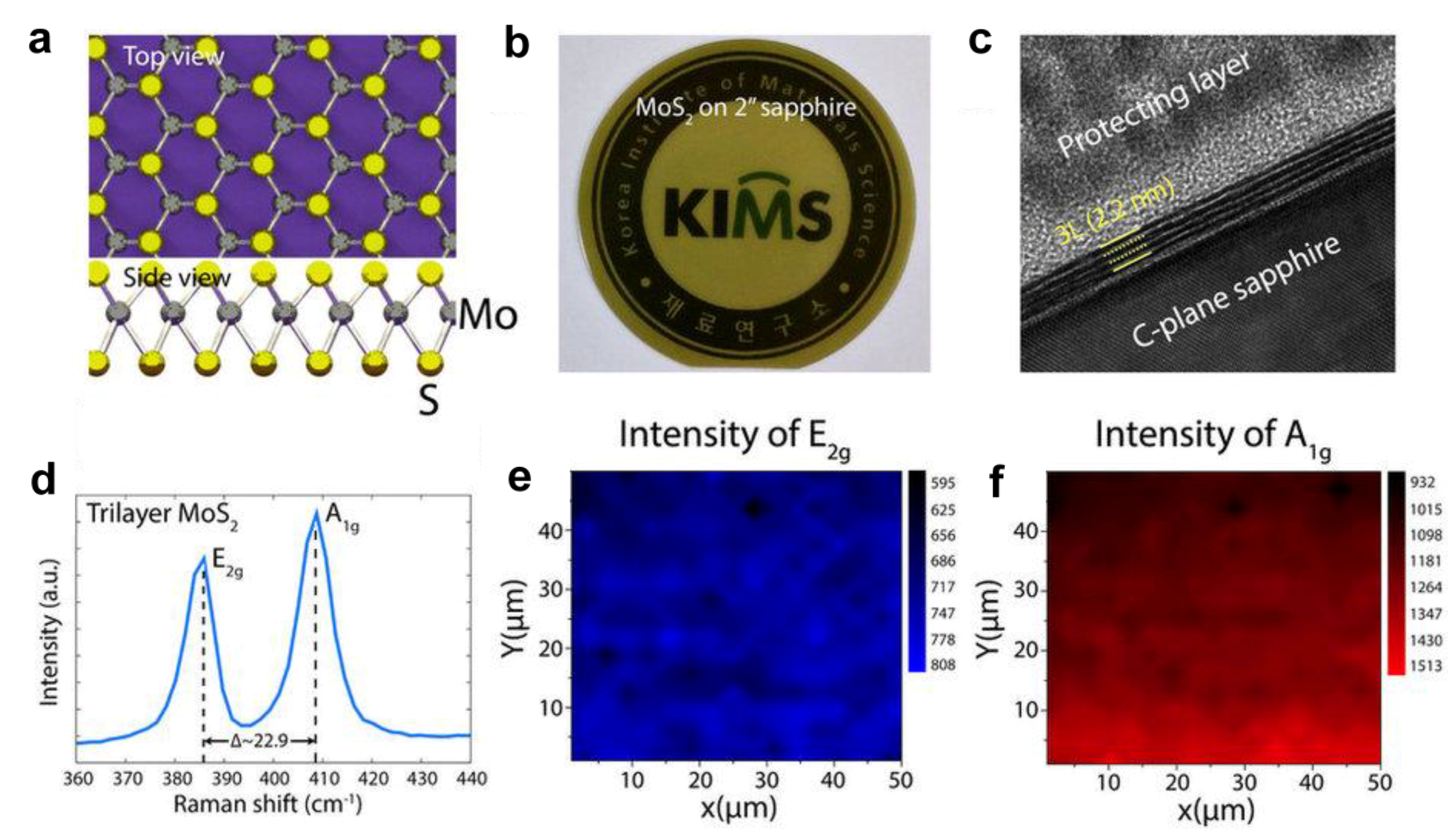 Chemosensors 05 00021 g011