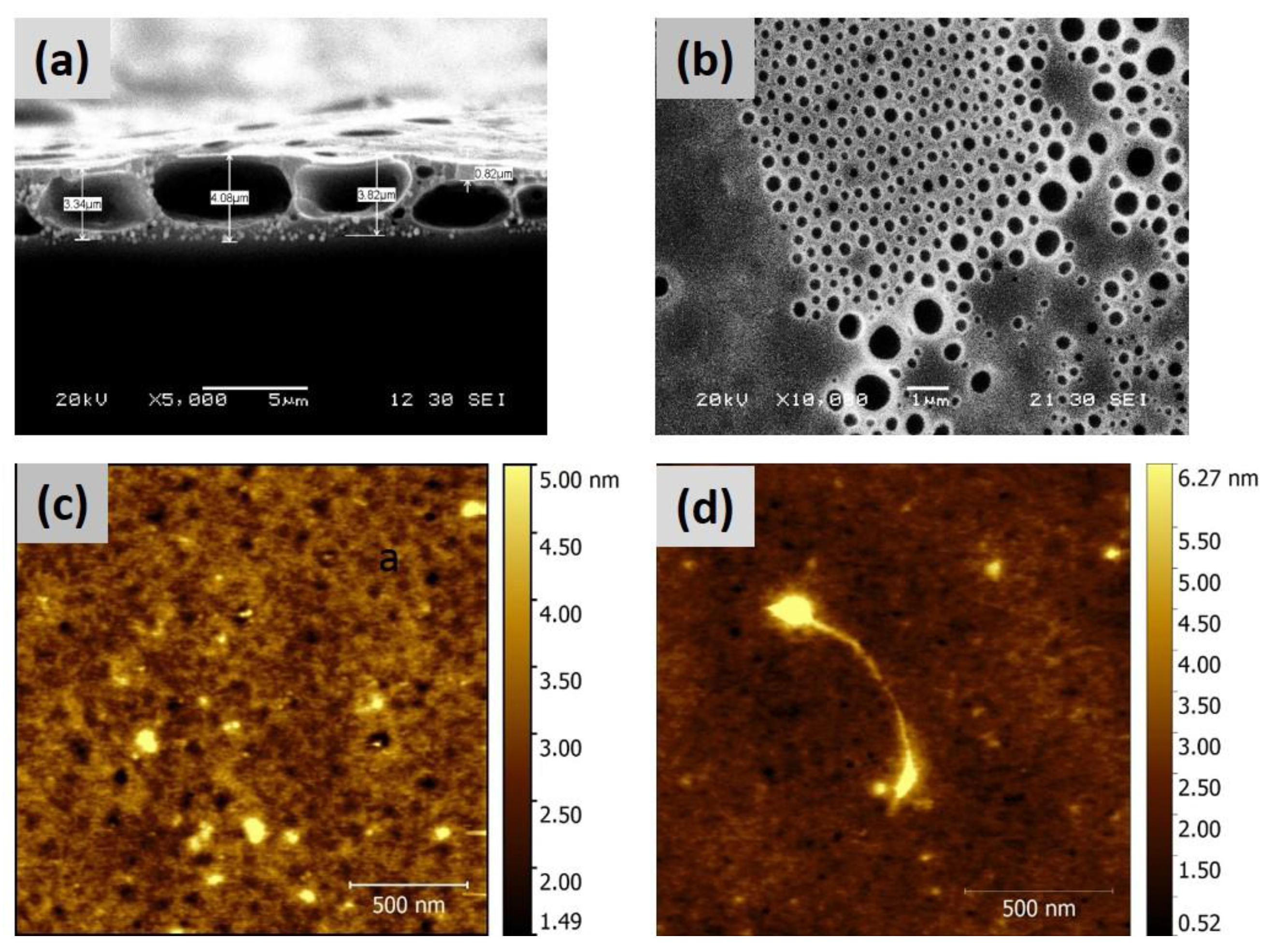 Chemosensors 05 00022 g003