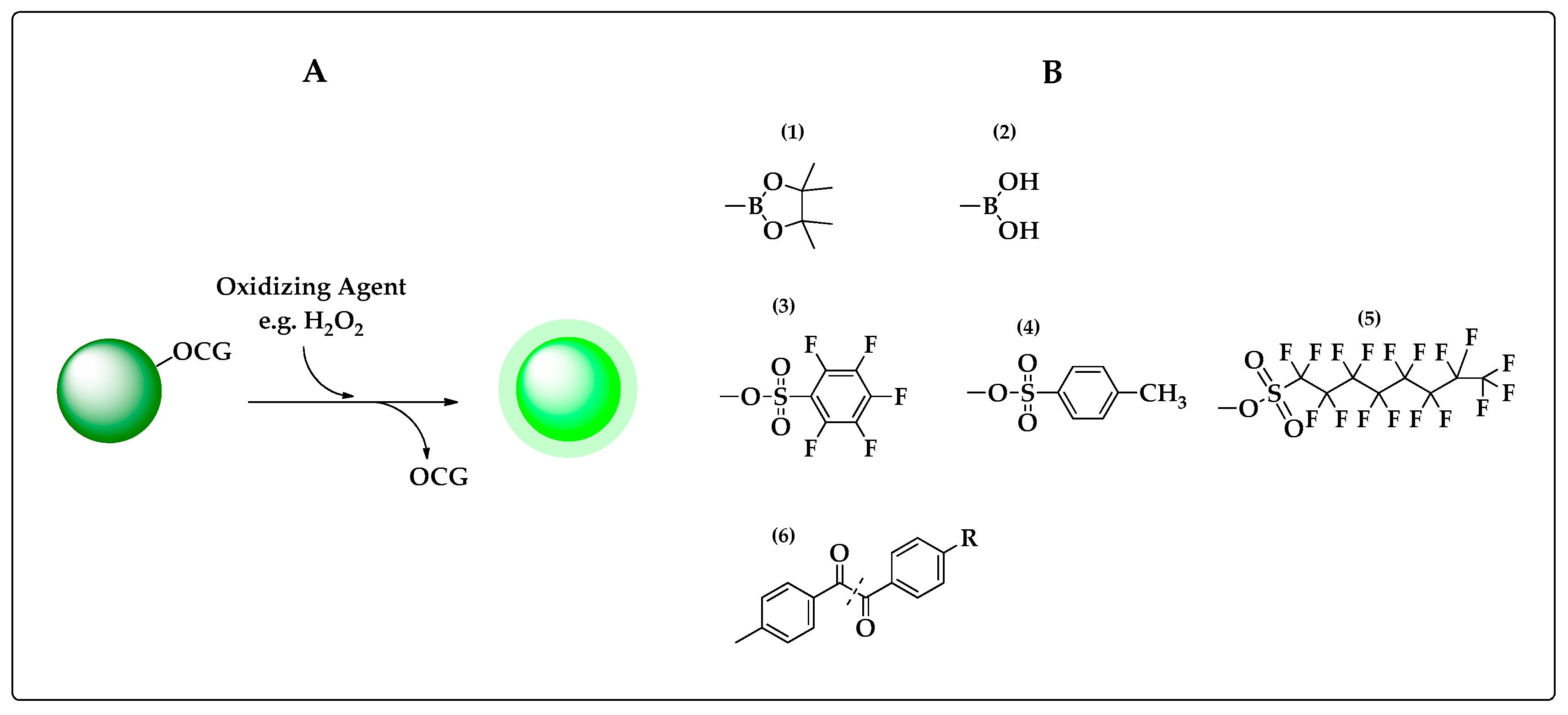Chemosensors 05 00028 g002
