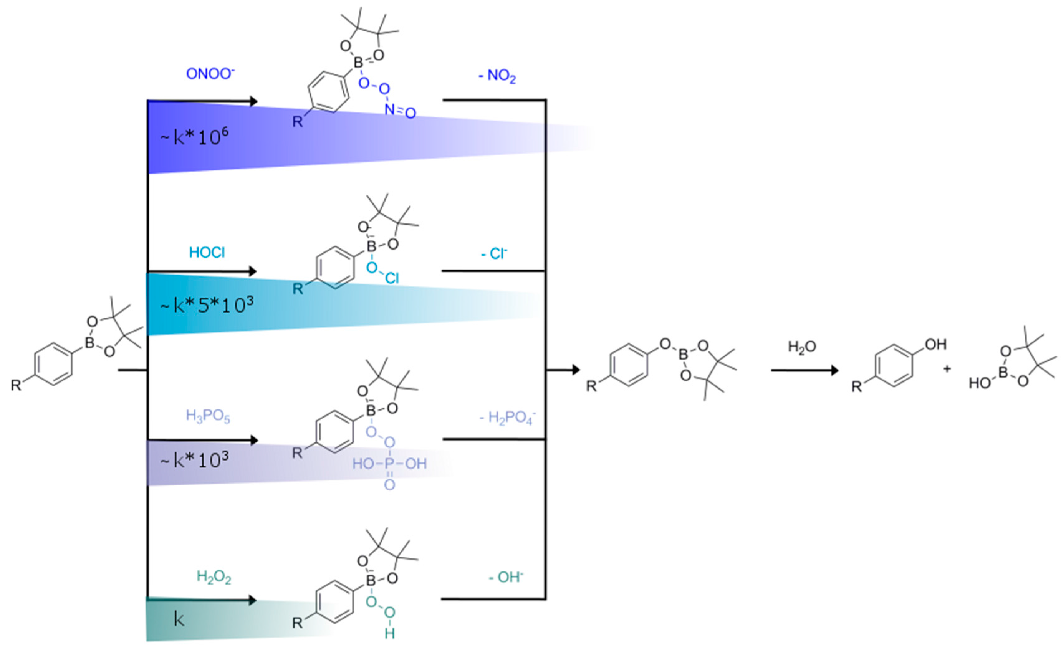 Chemosensors 05 00028 g004