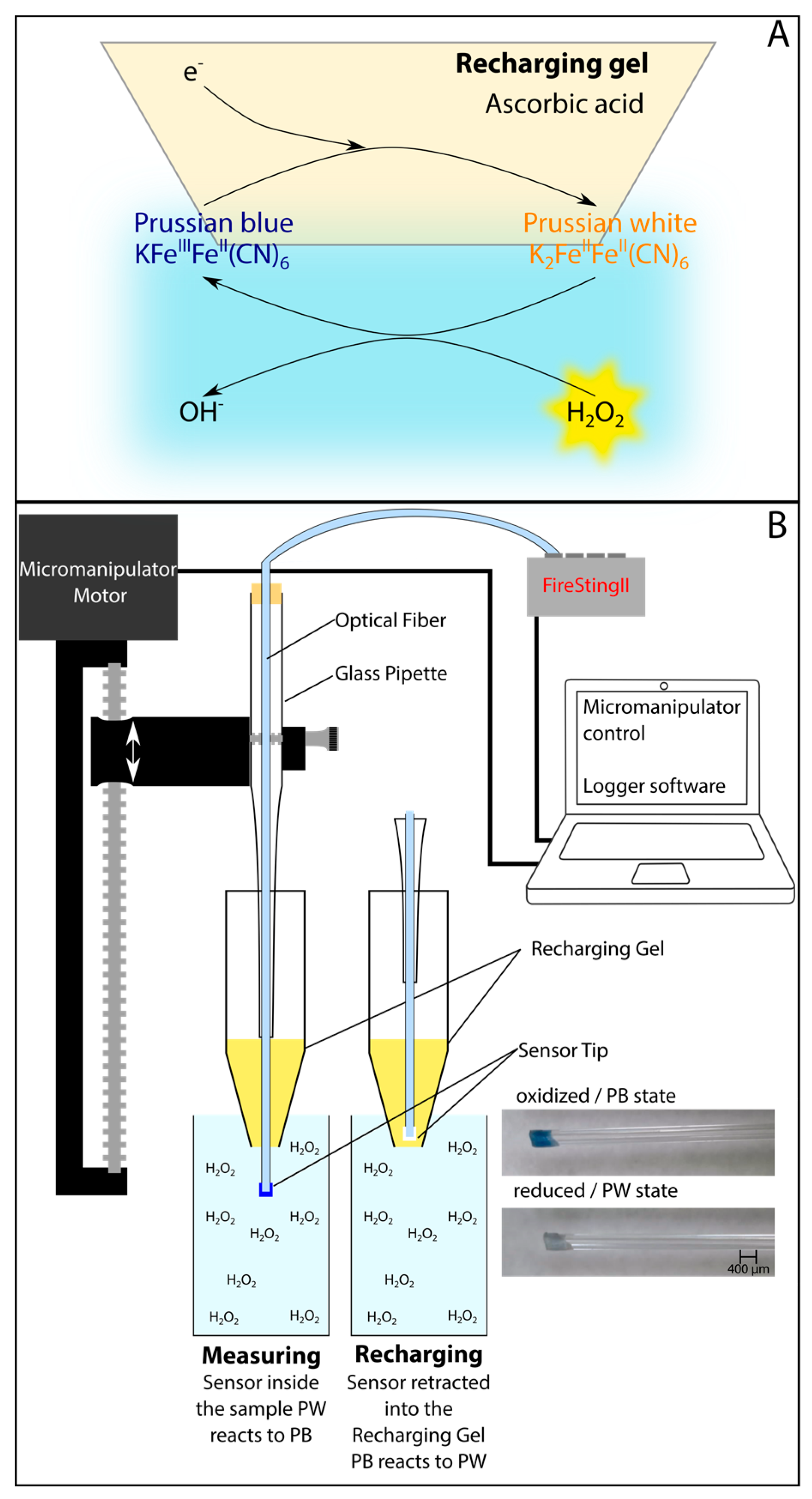 Chemosensors 05 00028 g006