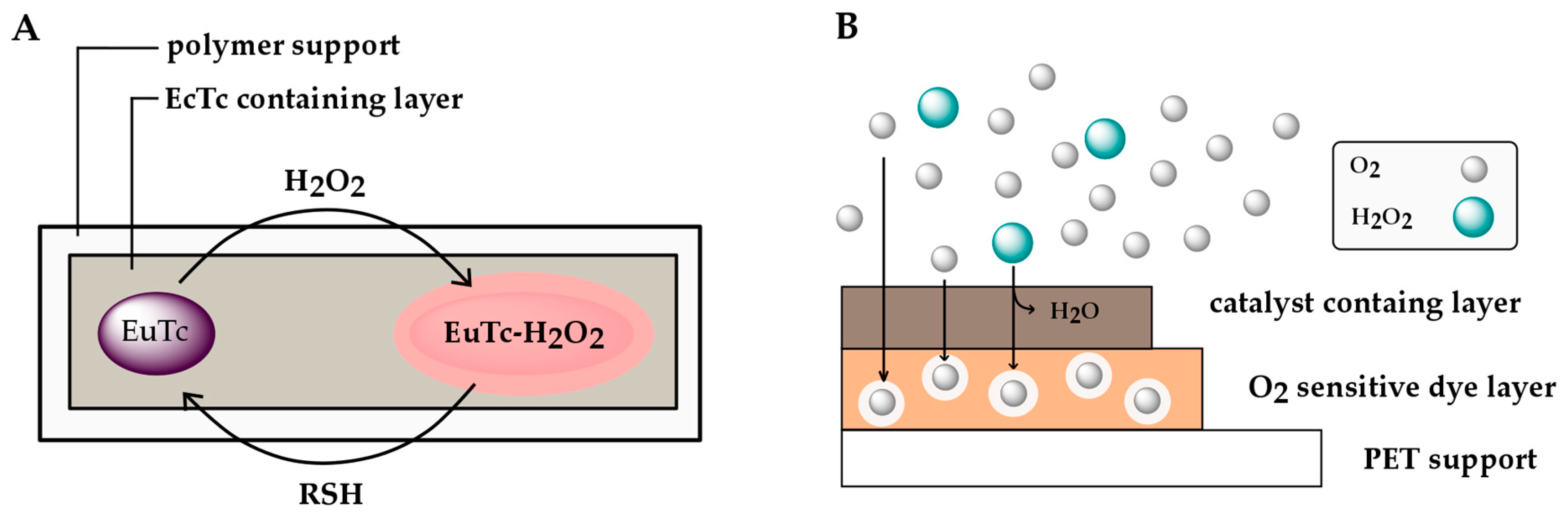 Chemosensors 05 00028 g007