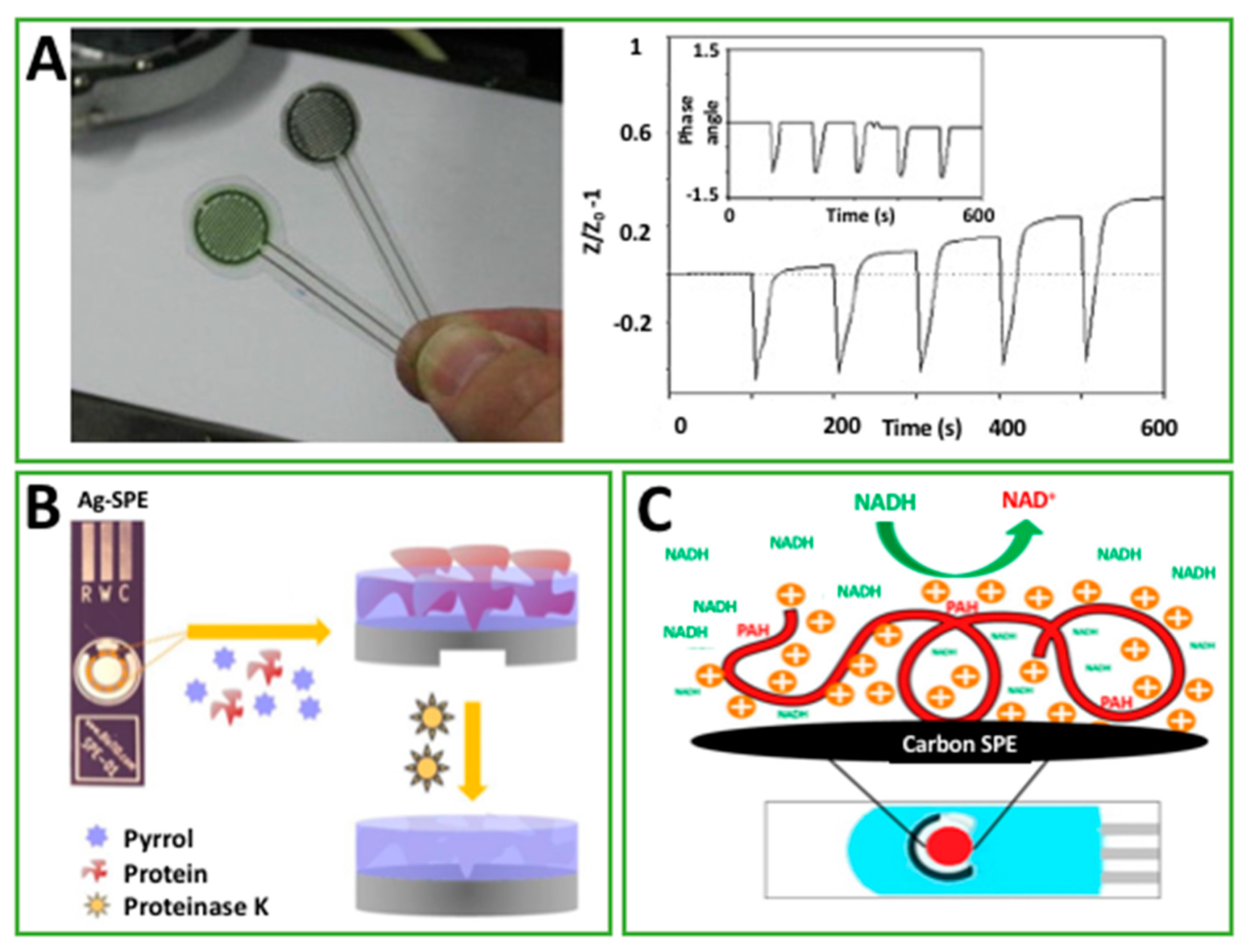 Chemosensors 05 00031 g002 Chemosensors 05 00031 g002