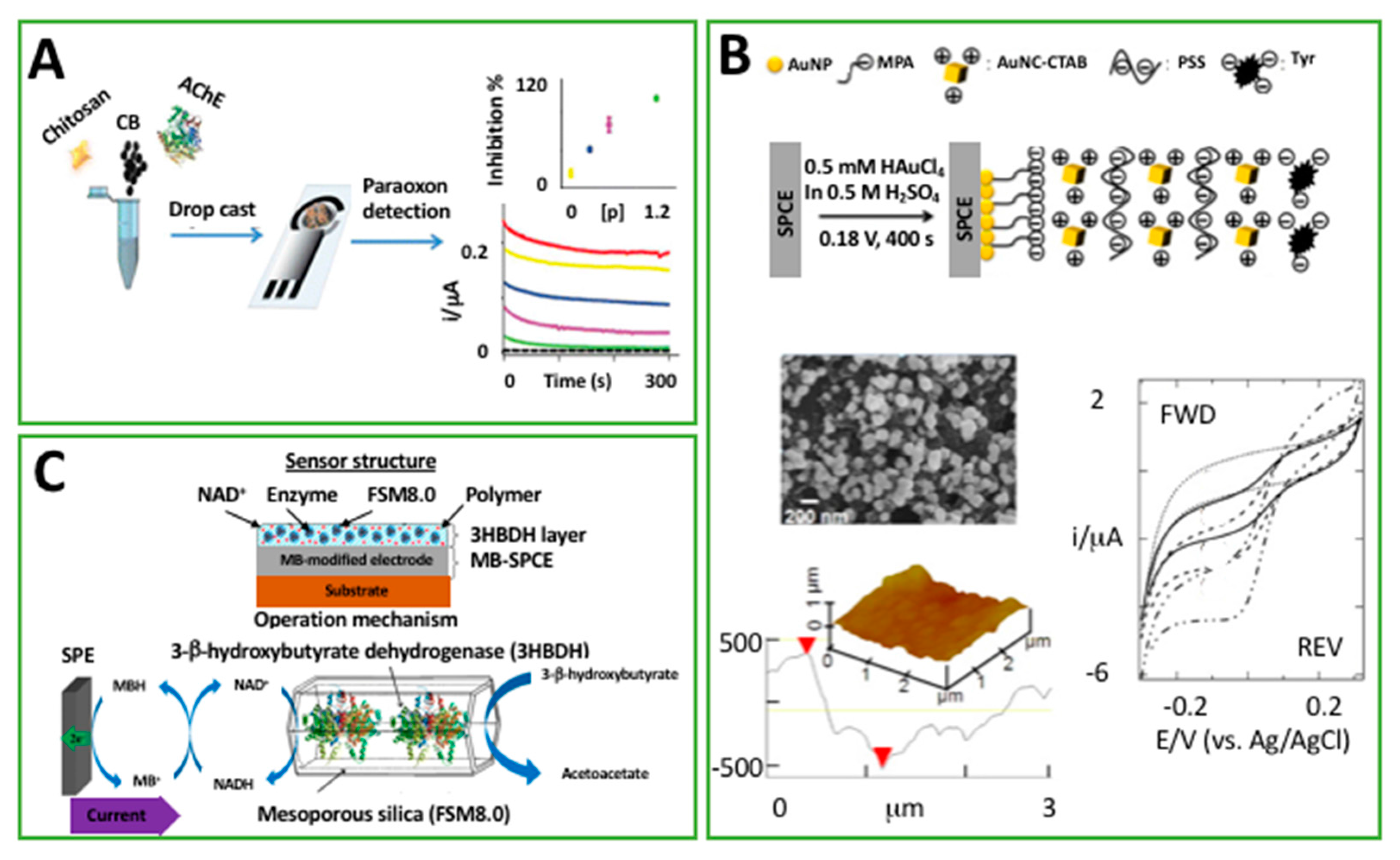 Chemosensors 05 00031 g004 Chemosensors 05 00031 g004