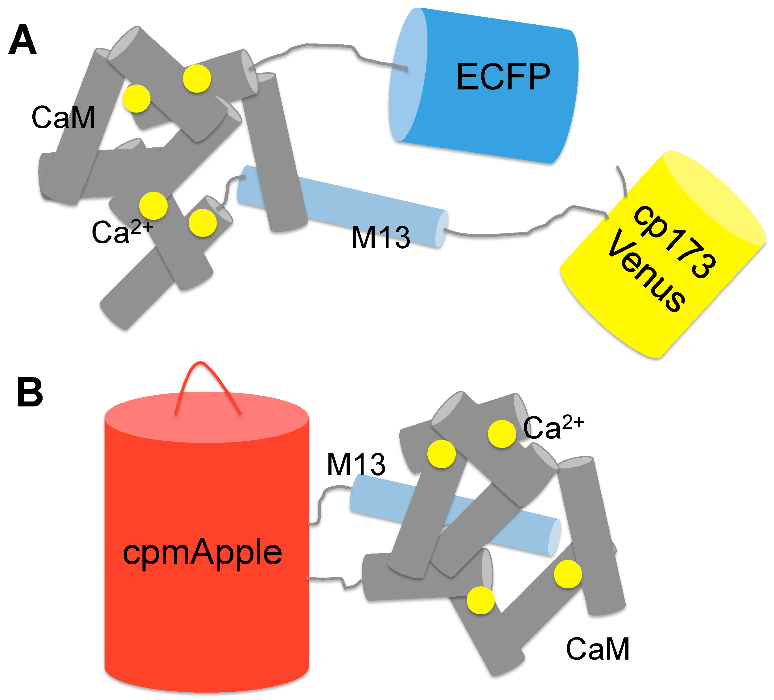 Chemosensors 05 00032 g002