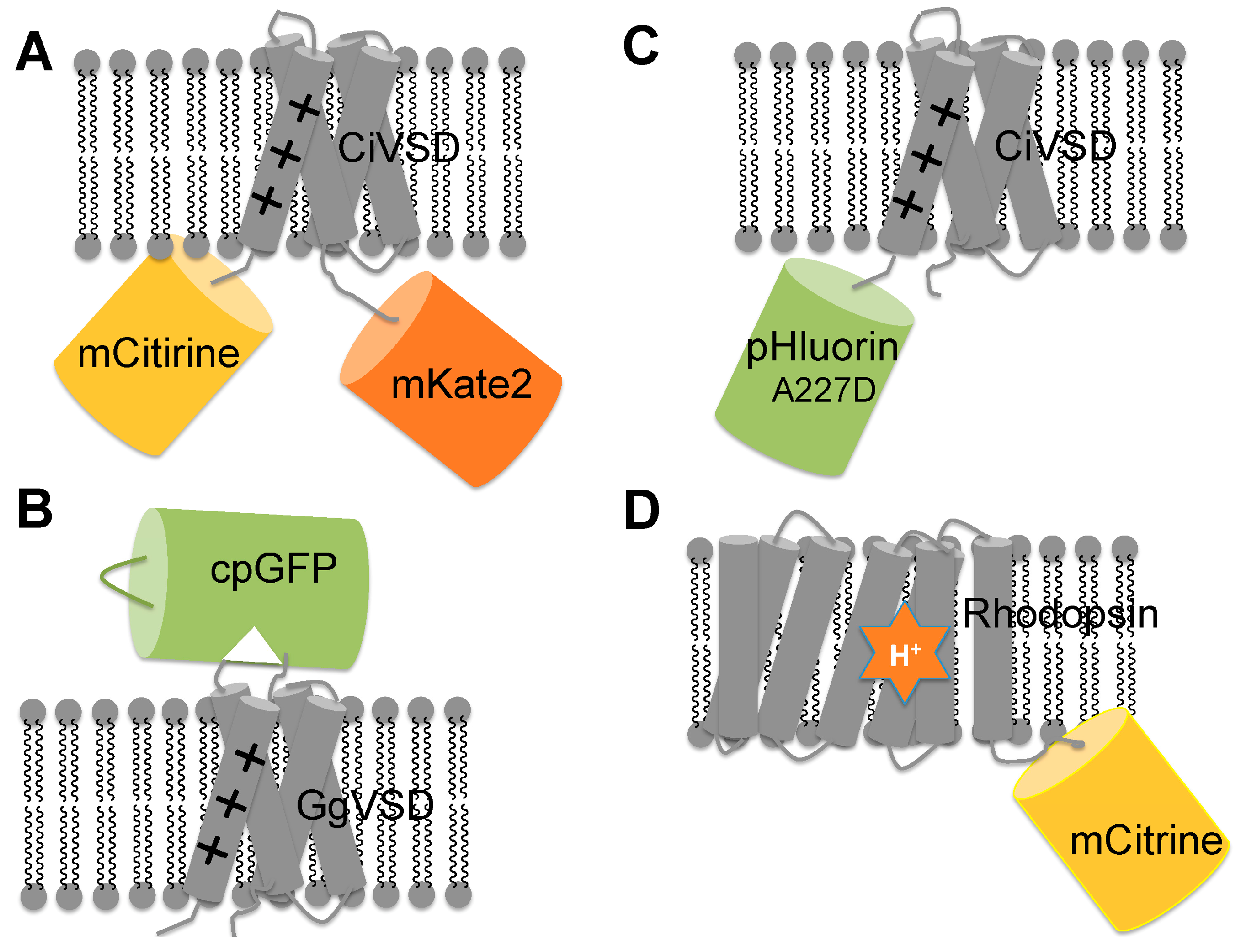 Chemosensors 05 00032 g003