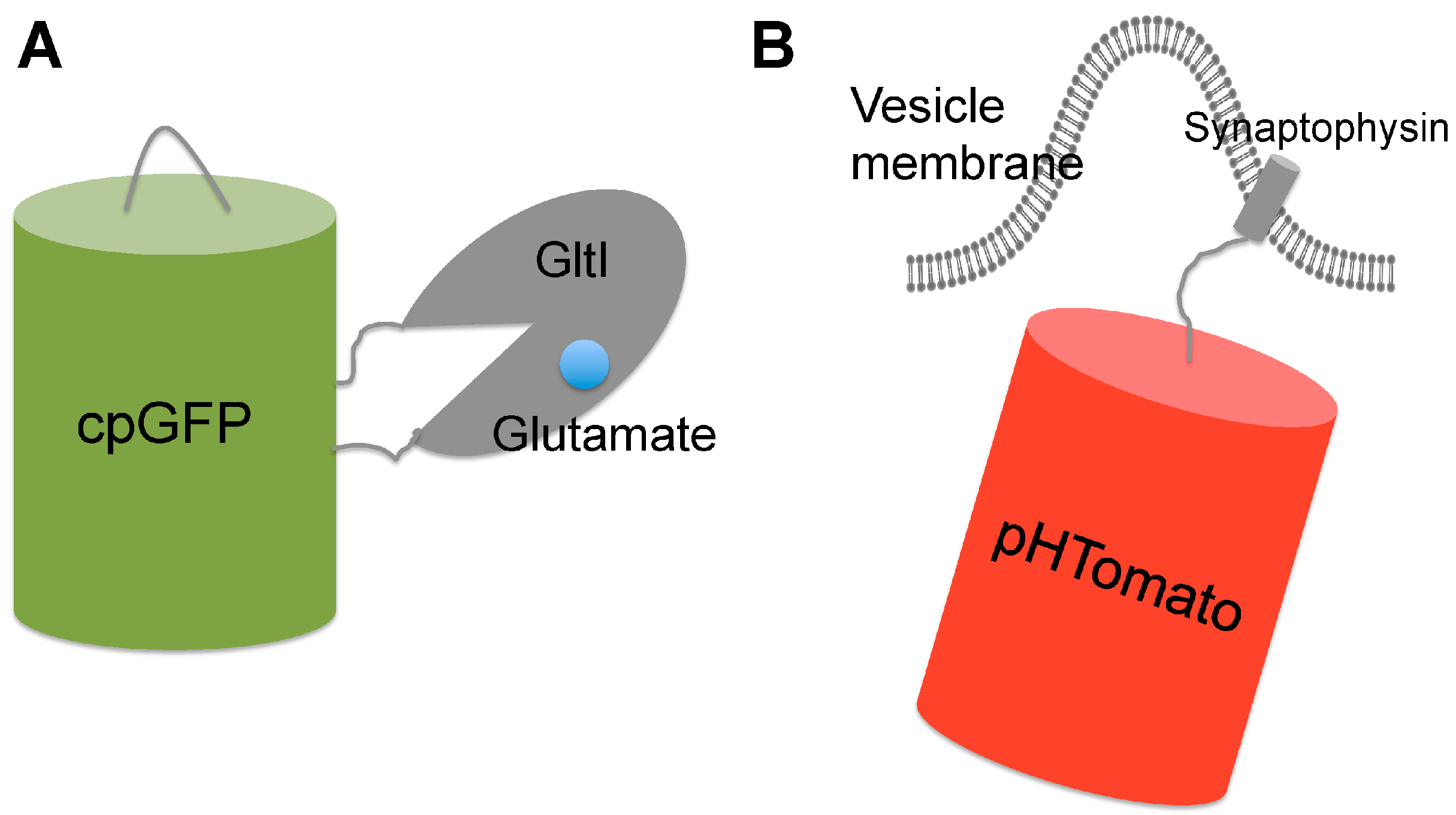 Chemosensors 05 00032 g004