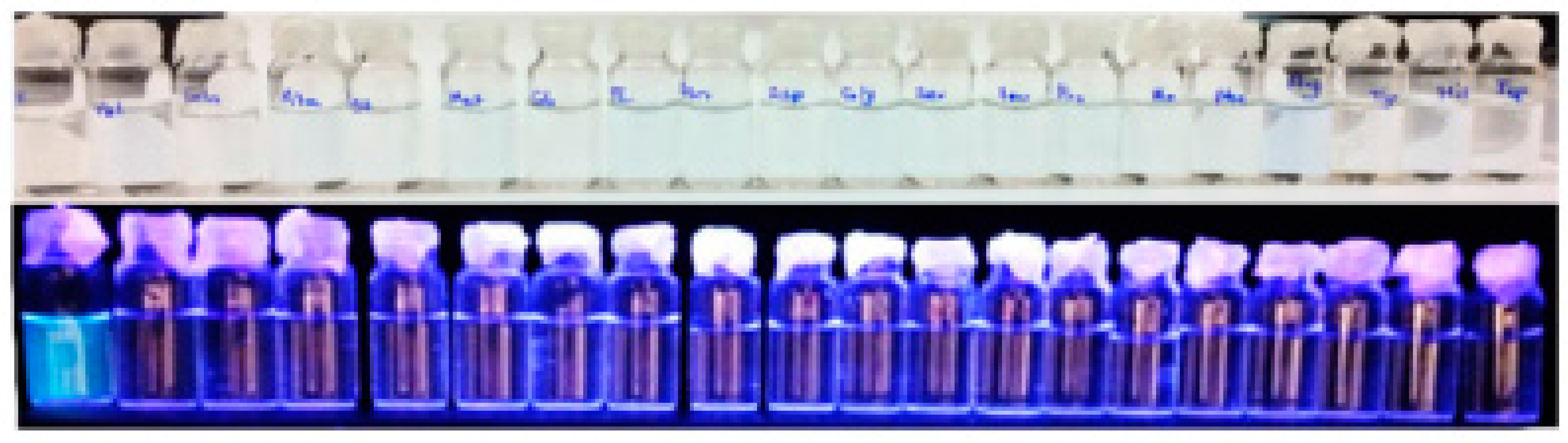 Chemosensors 05 00036 g013 Chemosensors 05 00036 g013