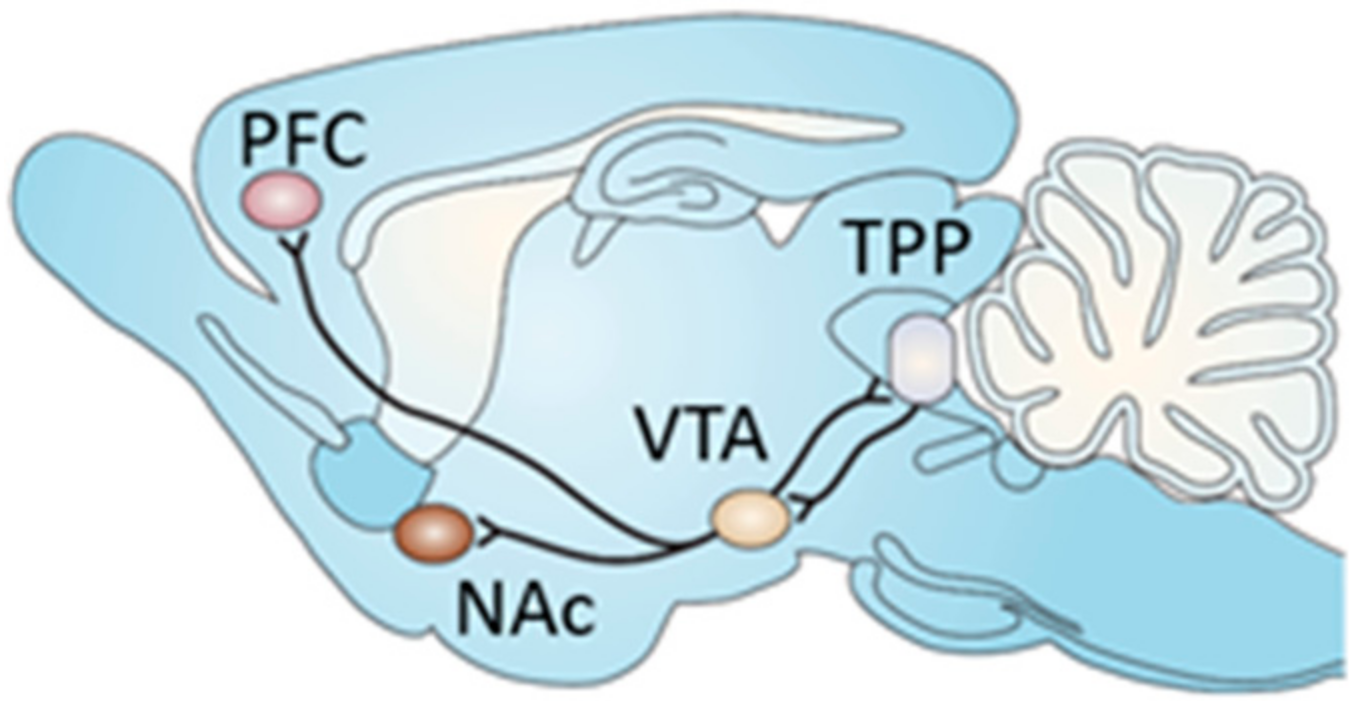 Chemosensors 06 00001 g001